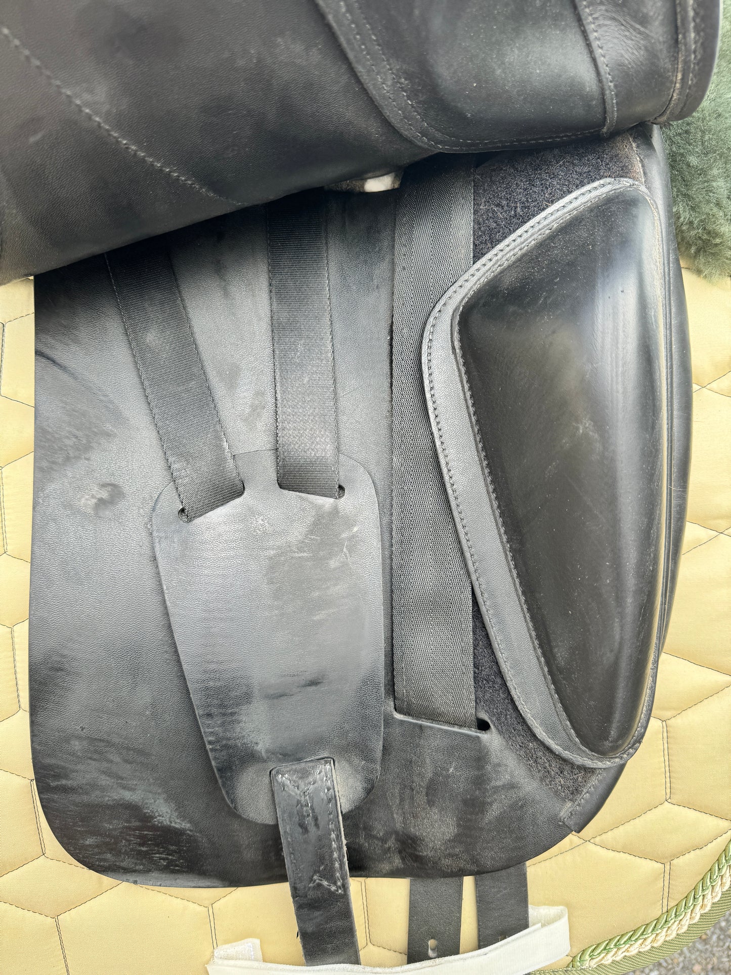 Amerigo Cortina Pinerolo dressage saddle 17.5 inches from 2022