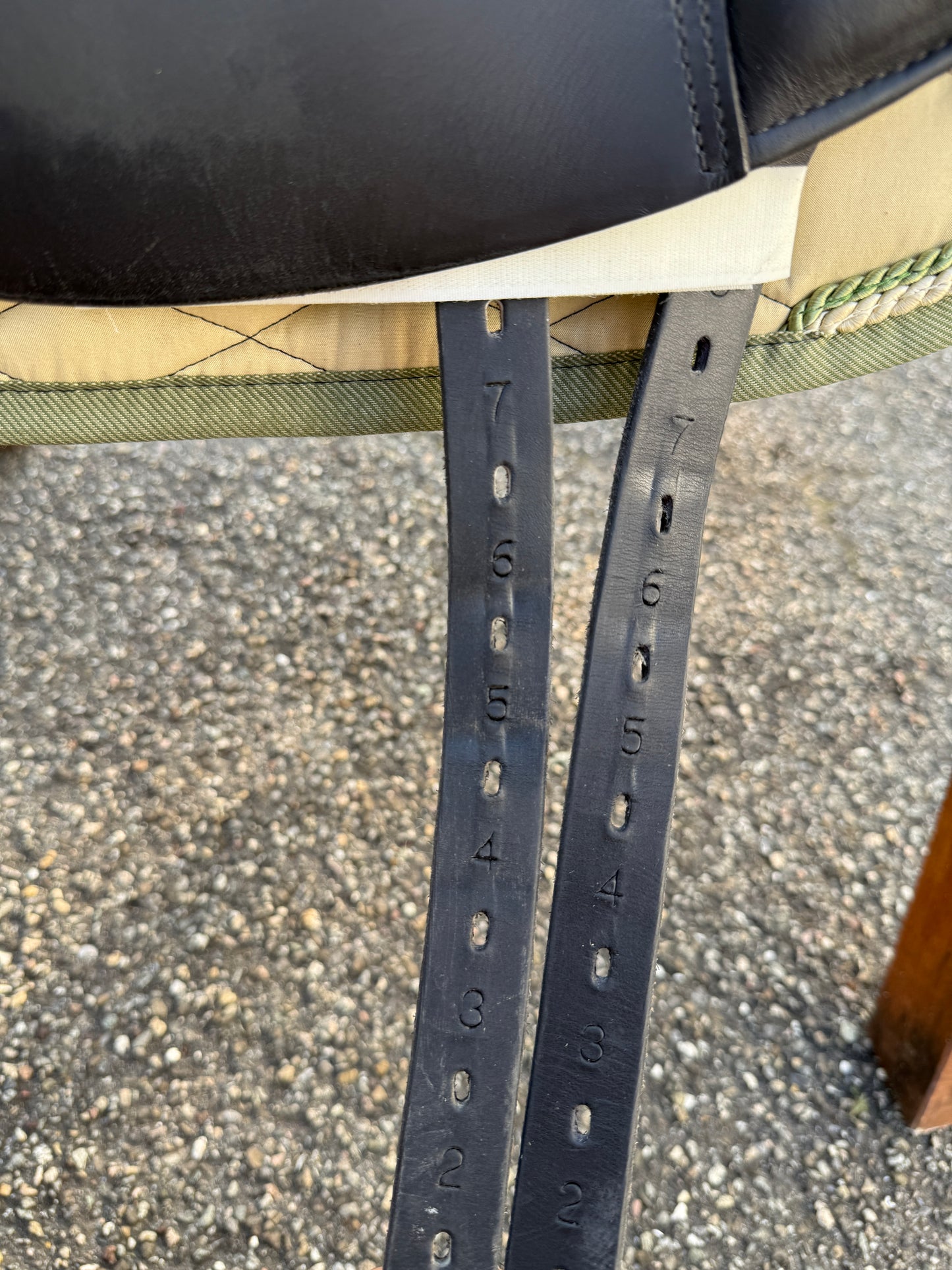 #156 Prestige Top Dressage SP 17 Zoll 32 aus 2023