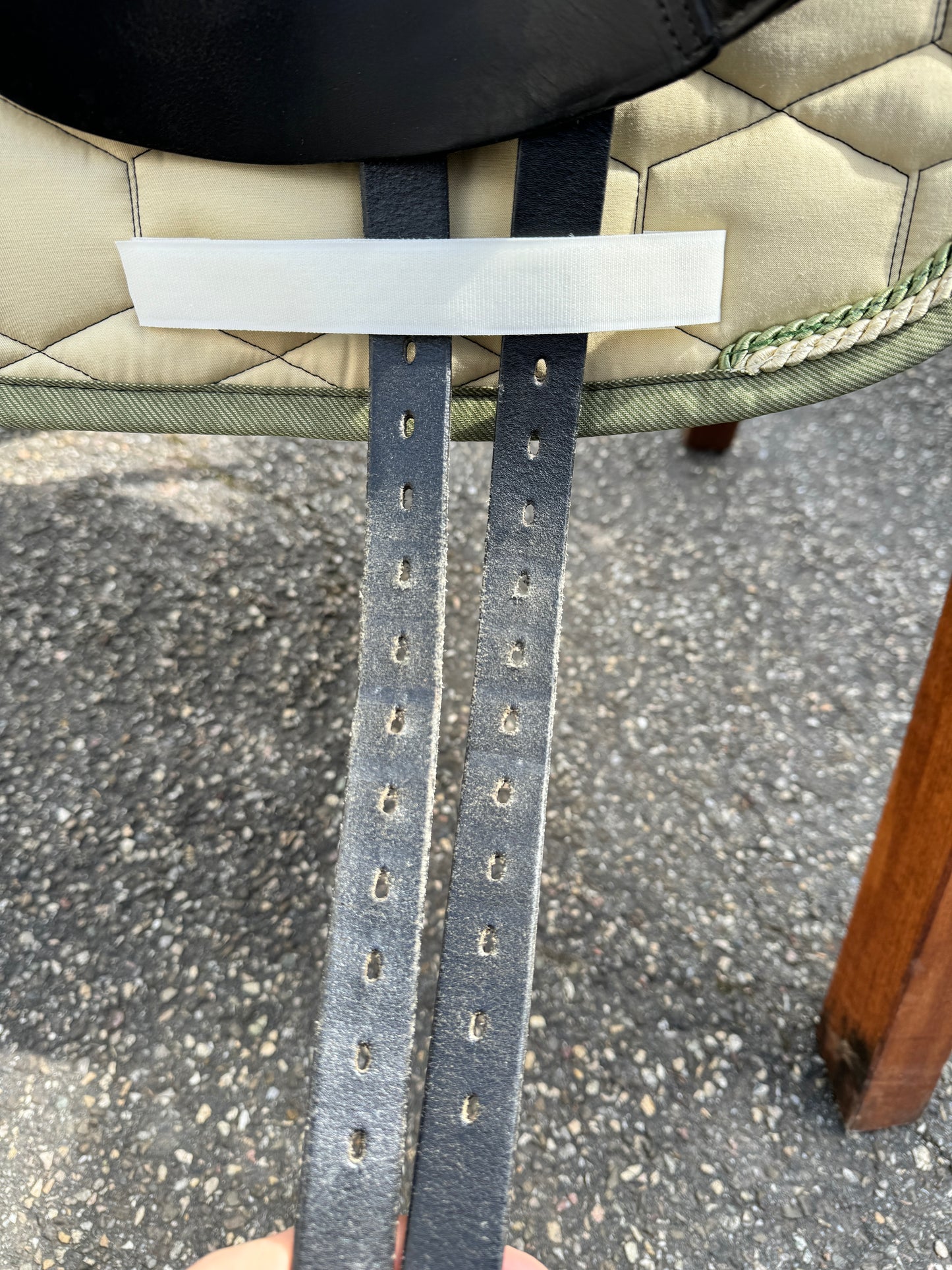 Silla de doma Equinomic de 17 pulgadas negra
