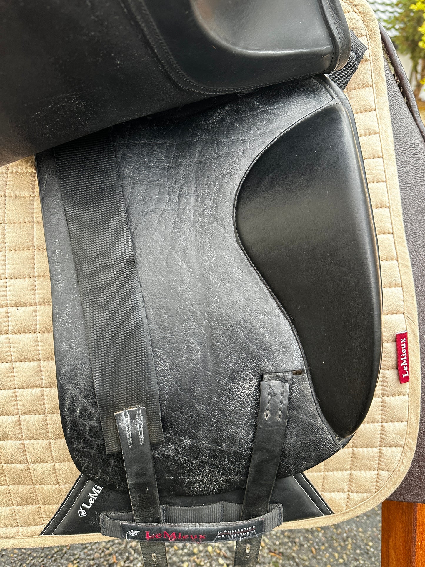 Jaguar XKC Dressursattel 17,5 Zoll