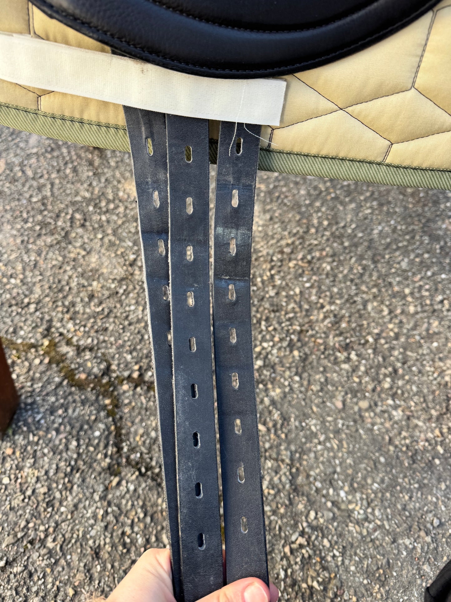 #79 Selleria Equipe Oracle Special Dressursattel 17 Zoll aus 2021