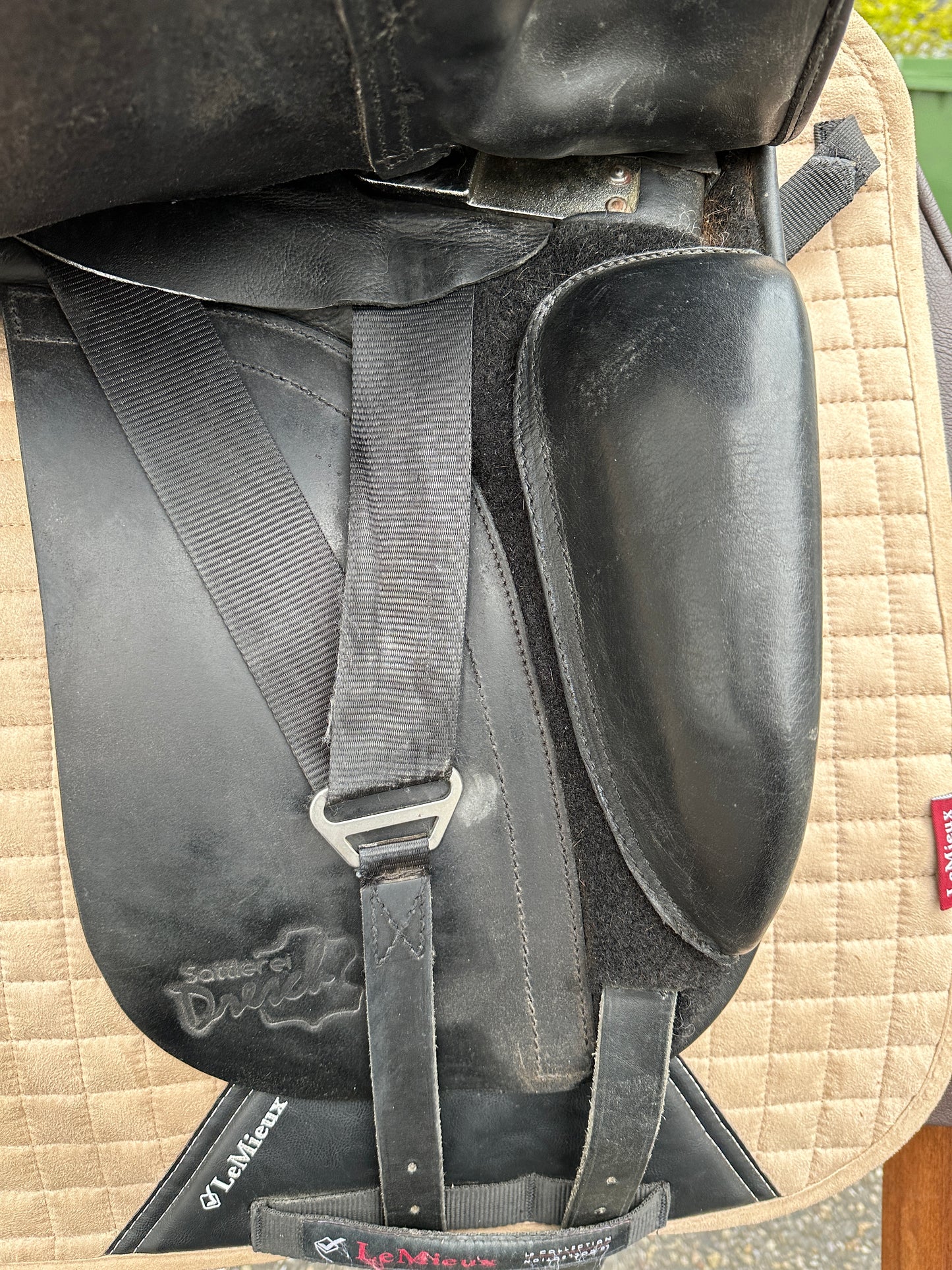 Silla de doma Dresch de 17 pulgadas con ruedas de velcro y cuero de búfalo