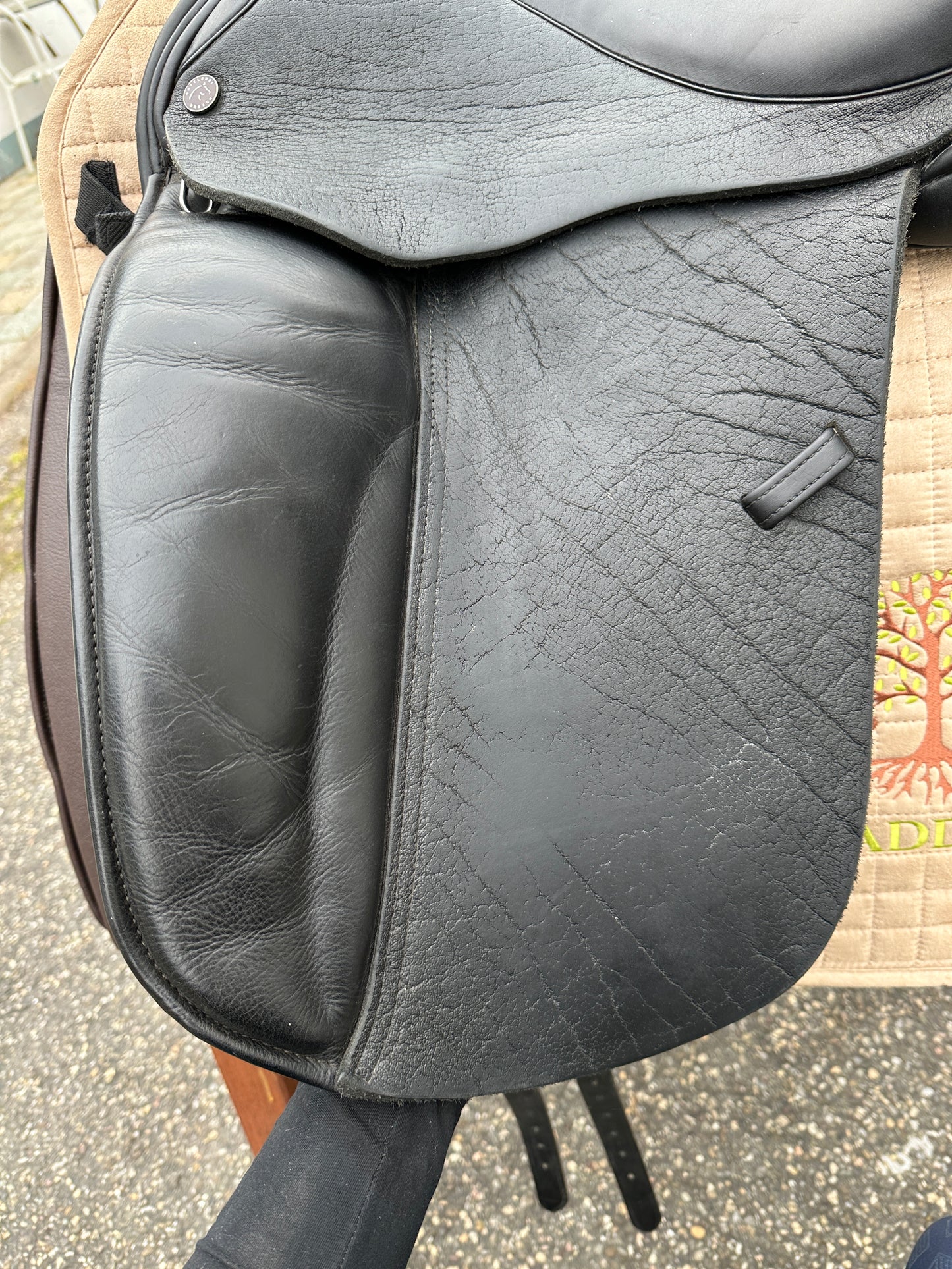 Silla de doma Dresch de 17 pulgadas con ruedas de velcro y cuero de búfalo