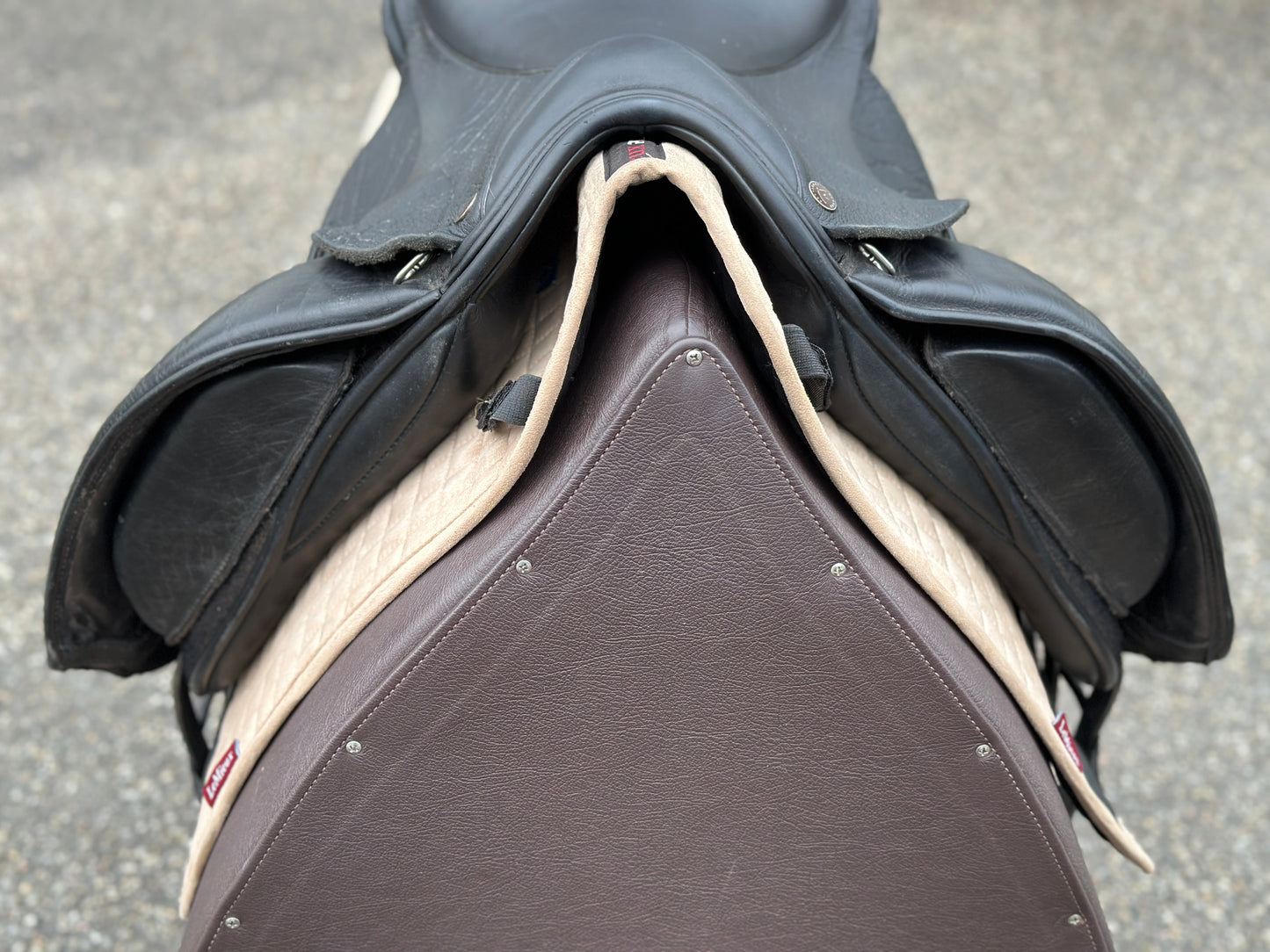 Silla de doma Dresch de 17 pulgadas con ruedas de velcro y cuero de búfalo