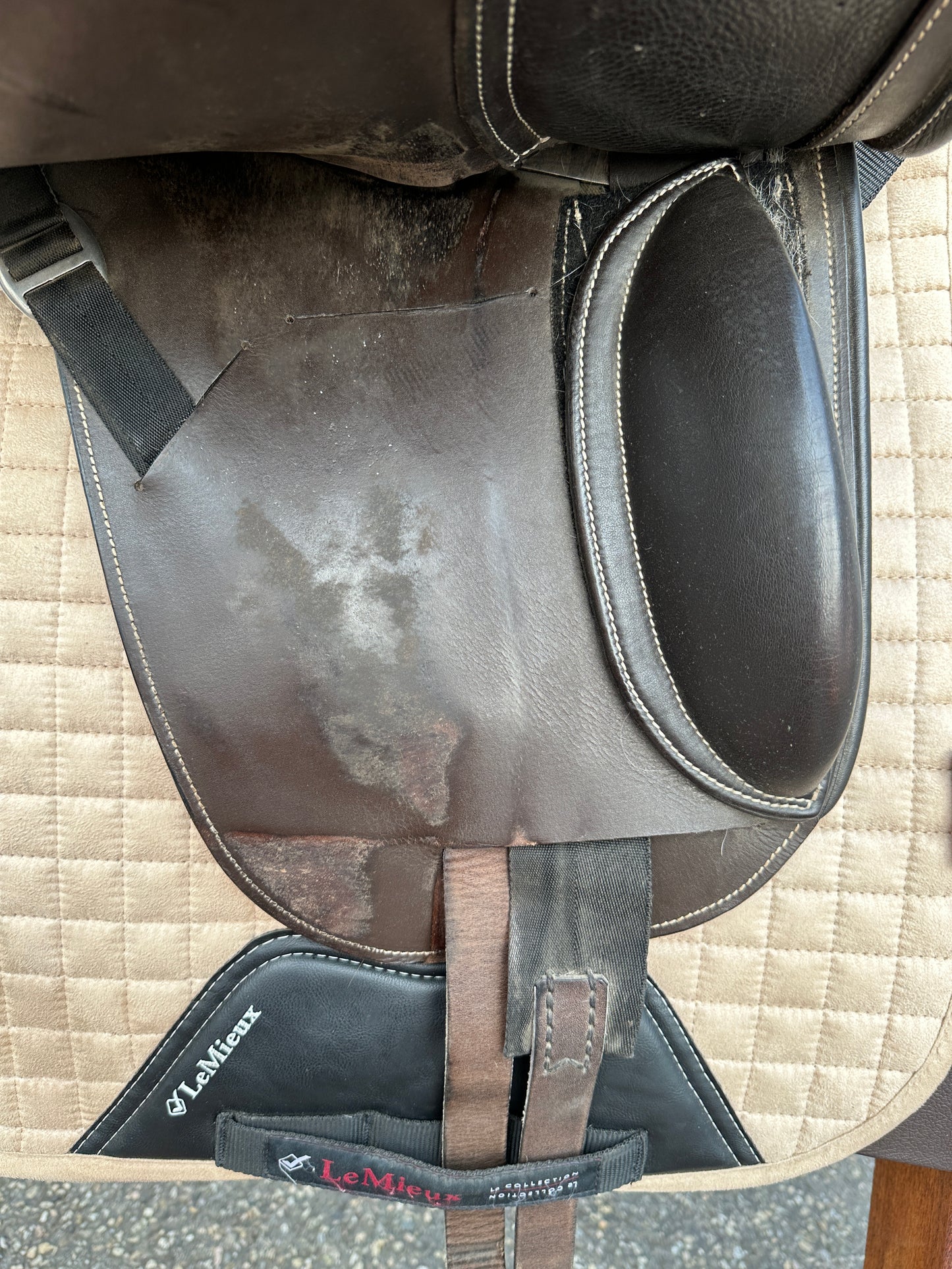 Schleese Bubi dressage saddle brown 17.5 inches