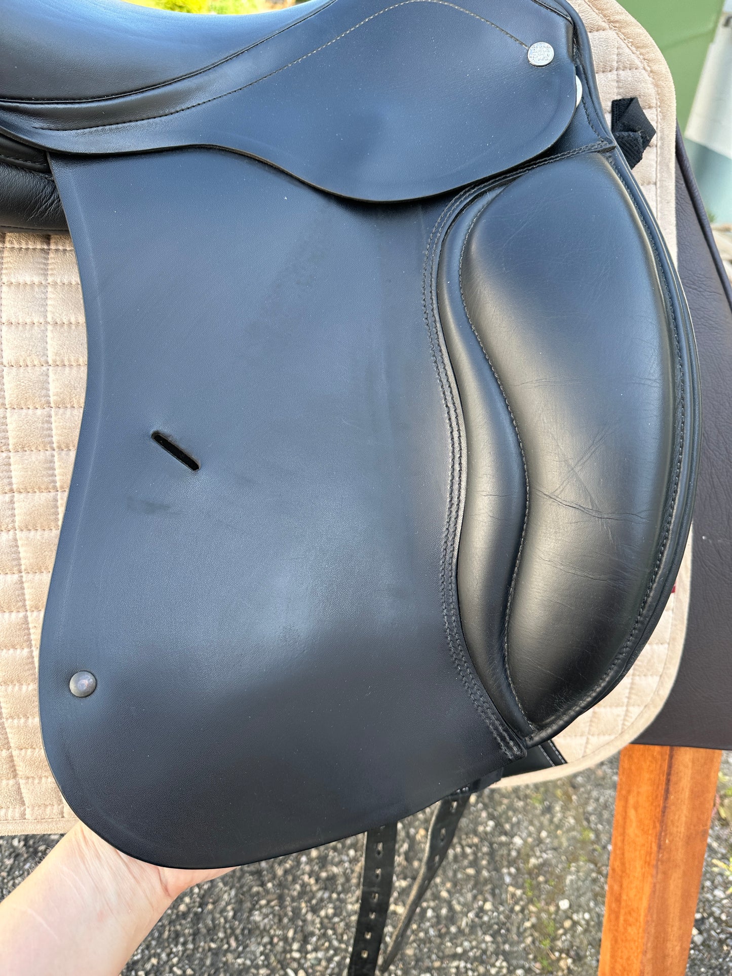 Horse Star Economical Dressursattel FSHL 16,5 Zoll