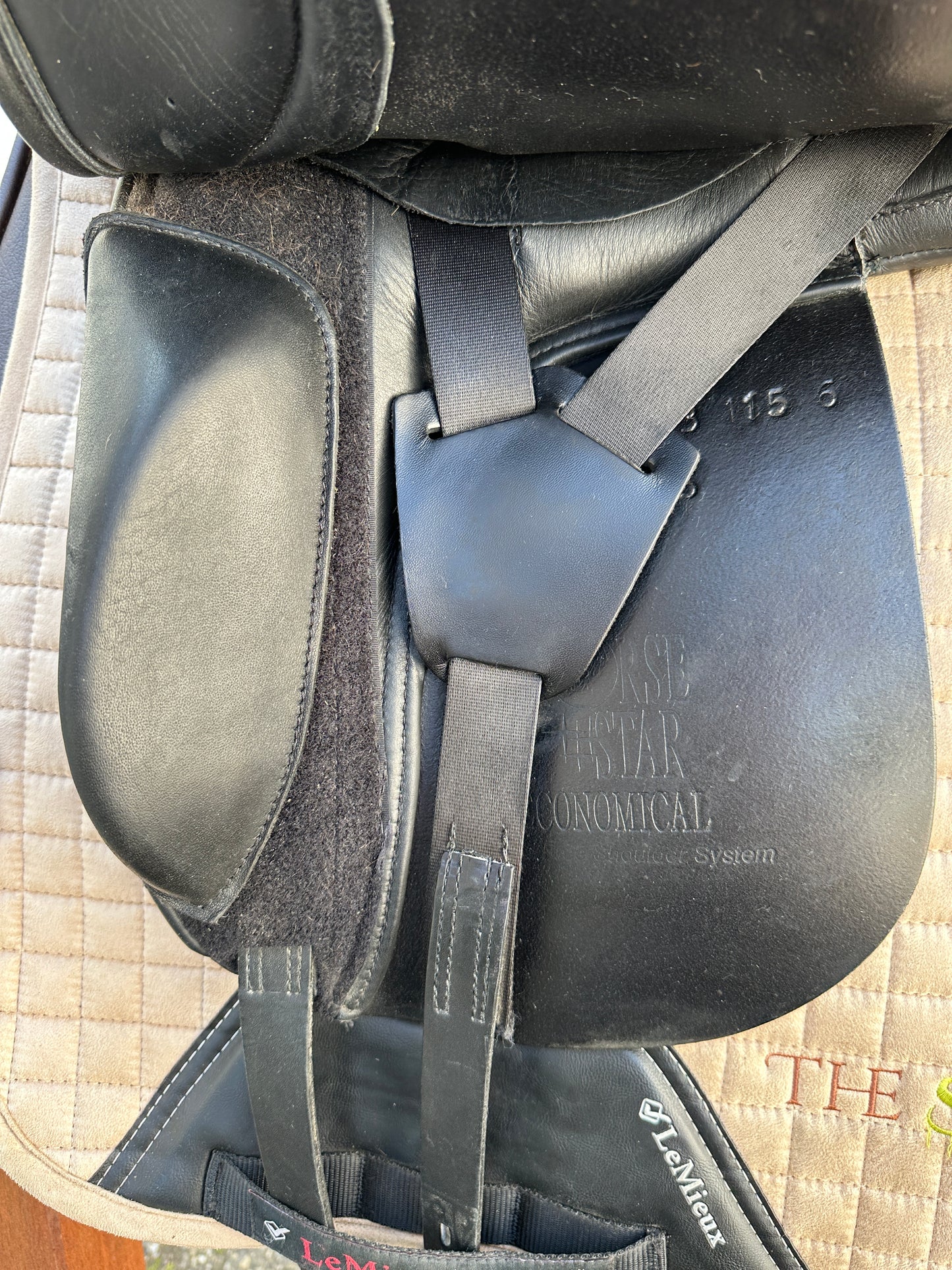 Horse Star Economical Dressursattel FSHL 16,5 Zoll