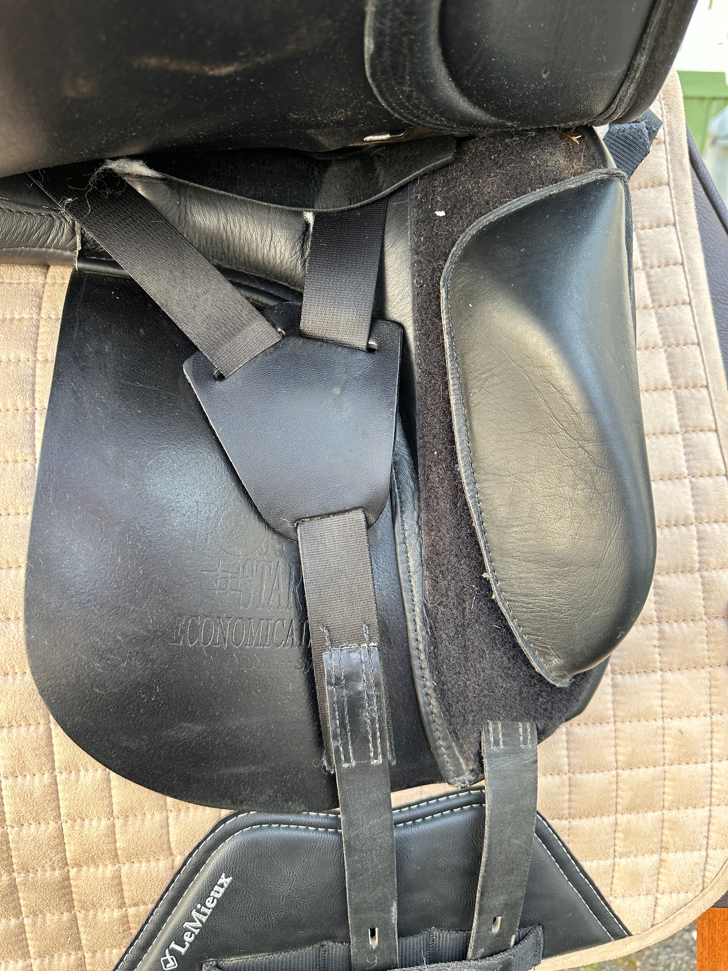 Horse Star Economical Dressursattel FSHL 16,5 Zoll