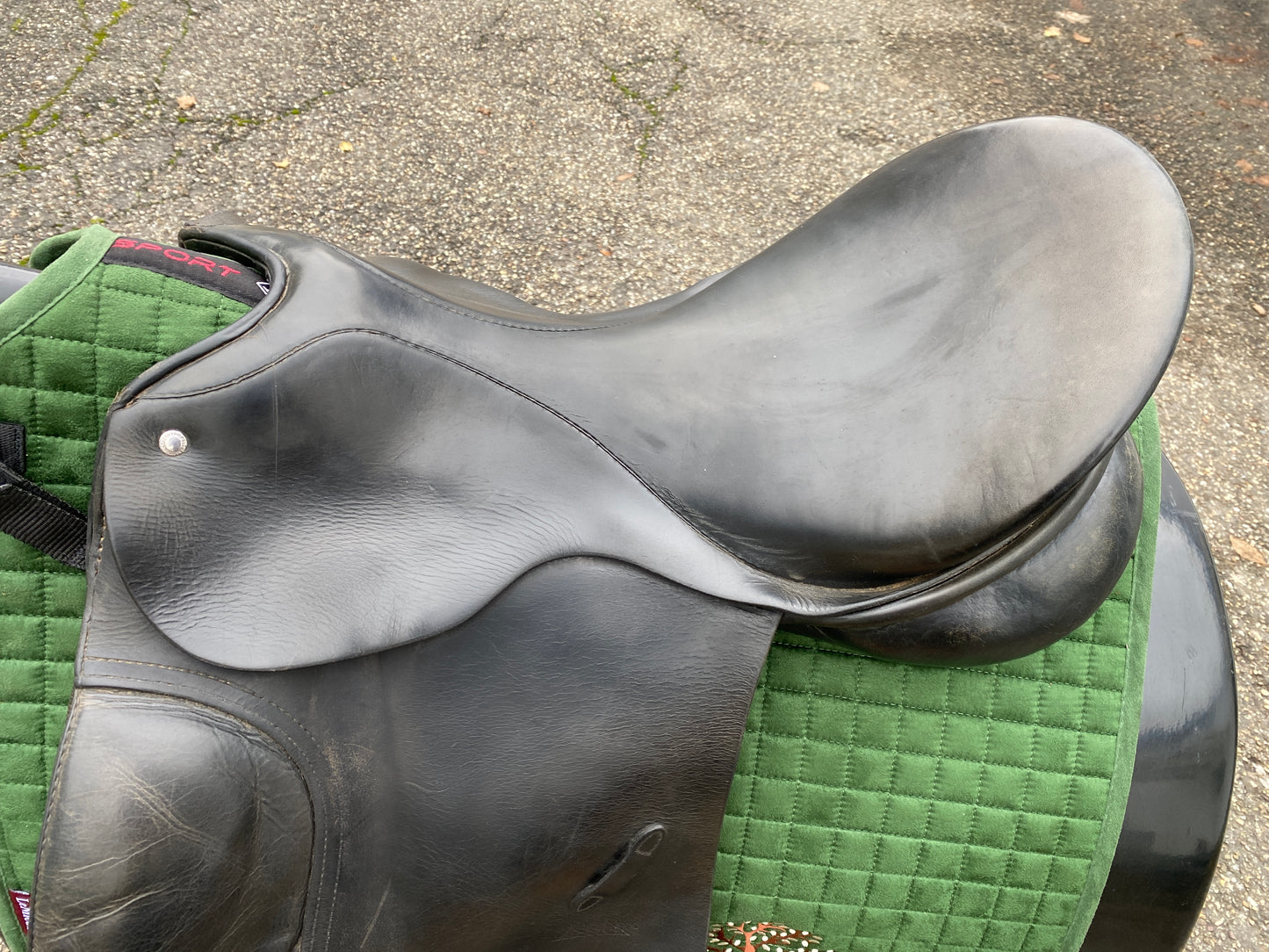 Passier GG Extra Dressursattel 17,5 Zoll