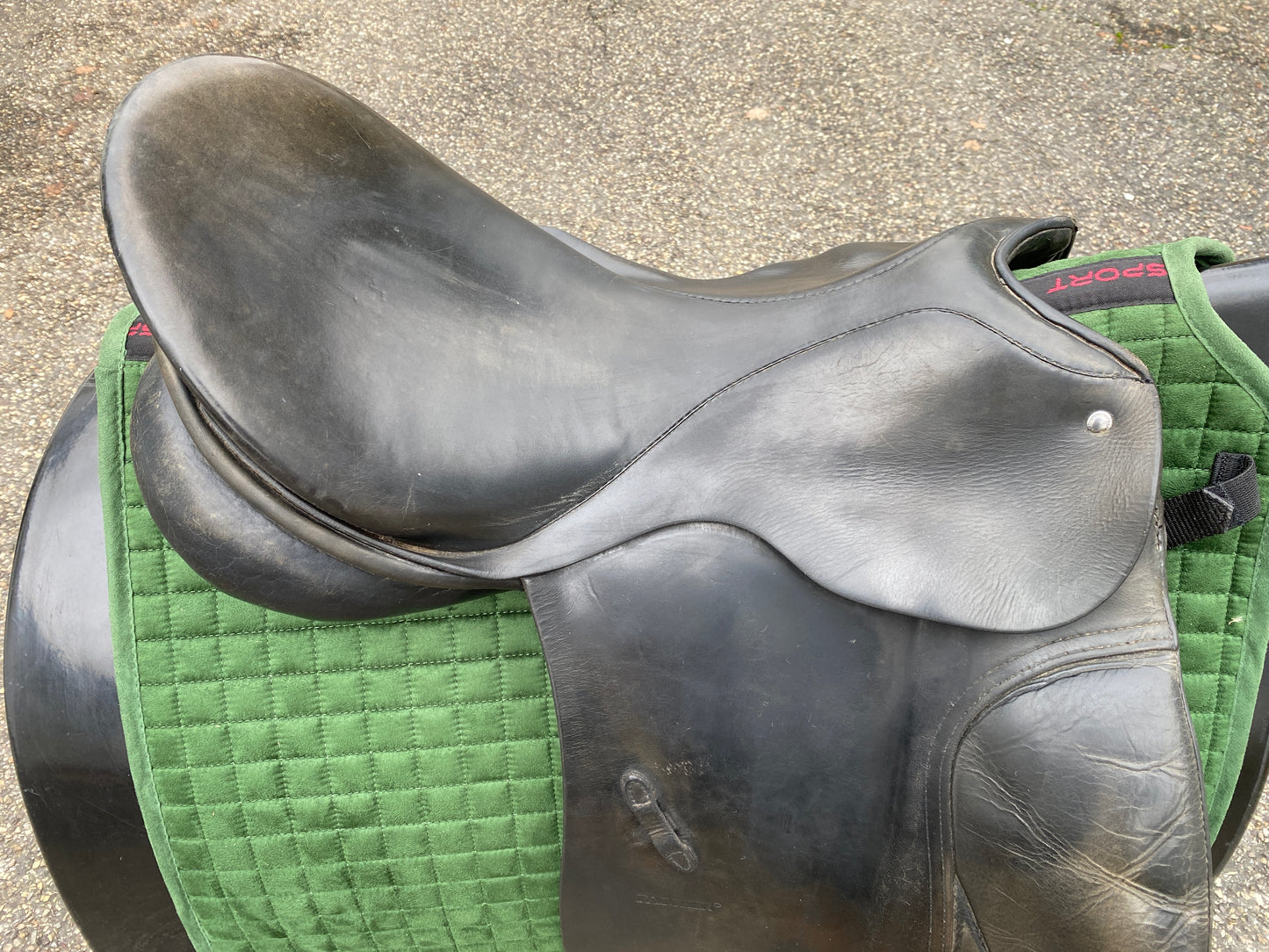 Passier GG Extra Dressursattel 17,5 Zoll