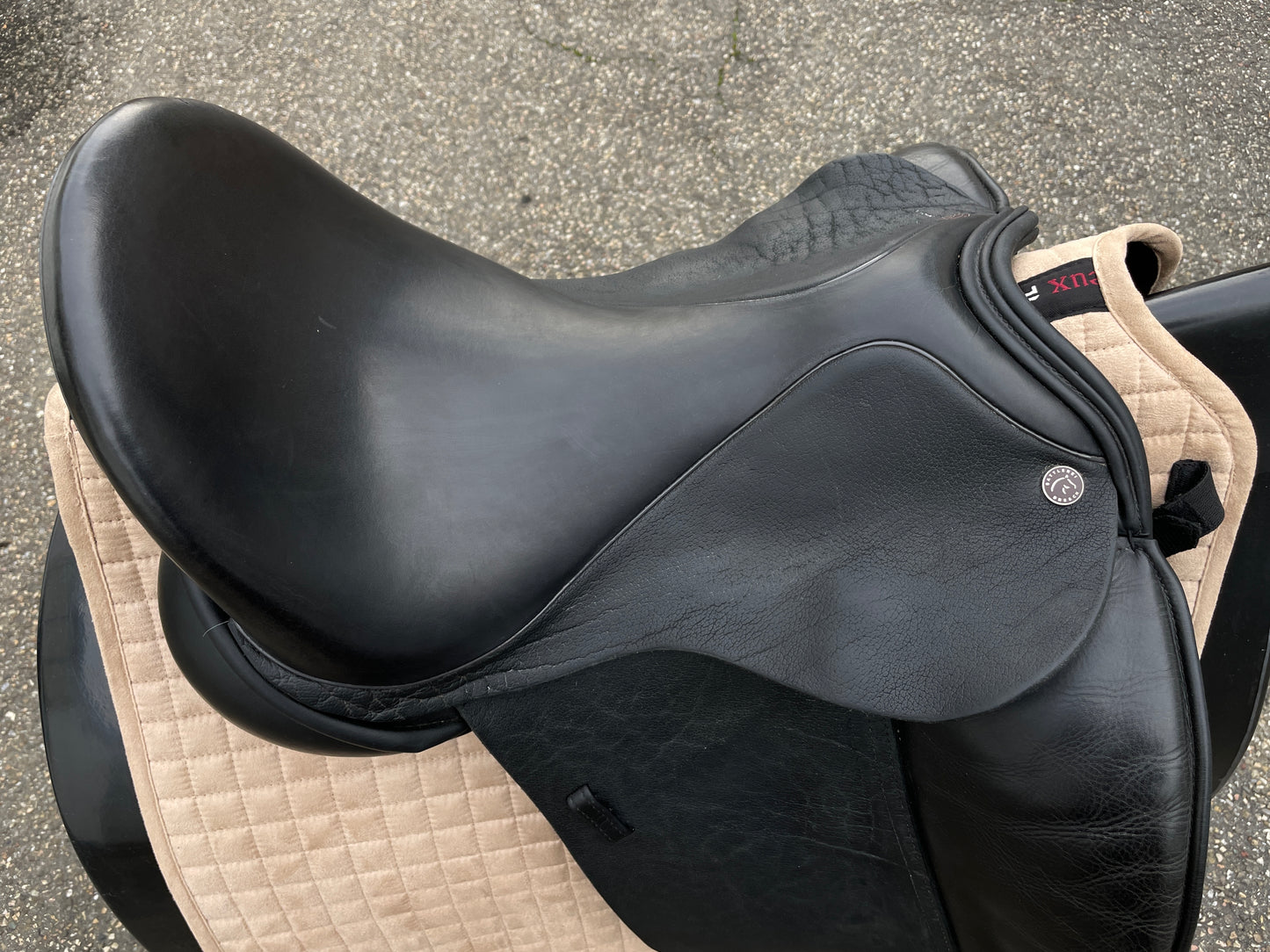 Silla de doma Dresch XT Flat con rollo de velcro de 17,5 pulgadas