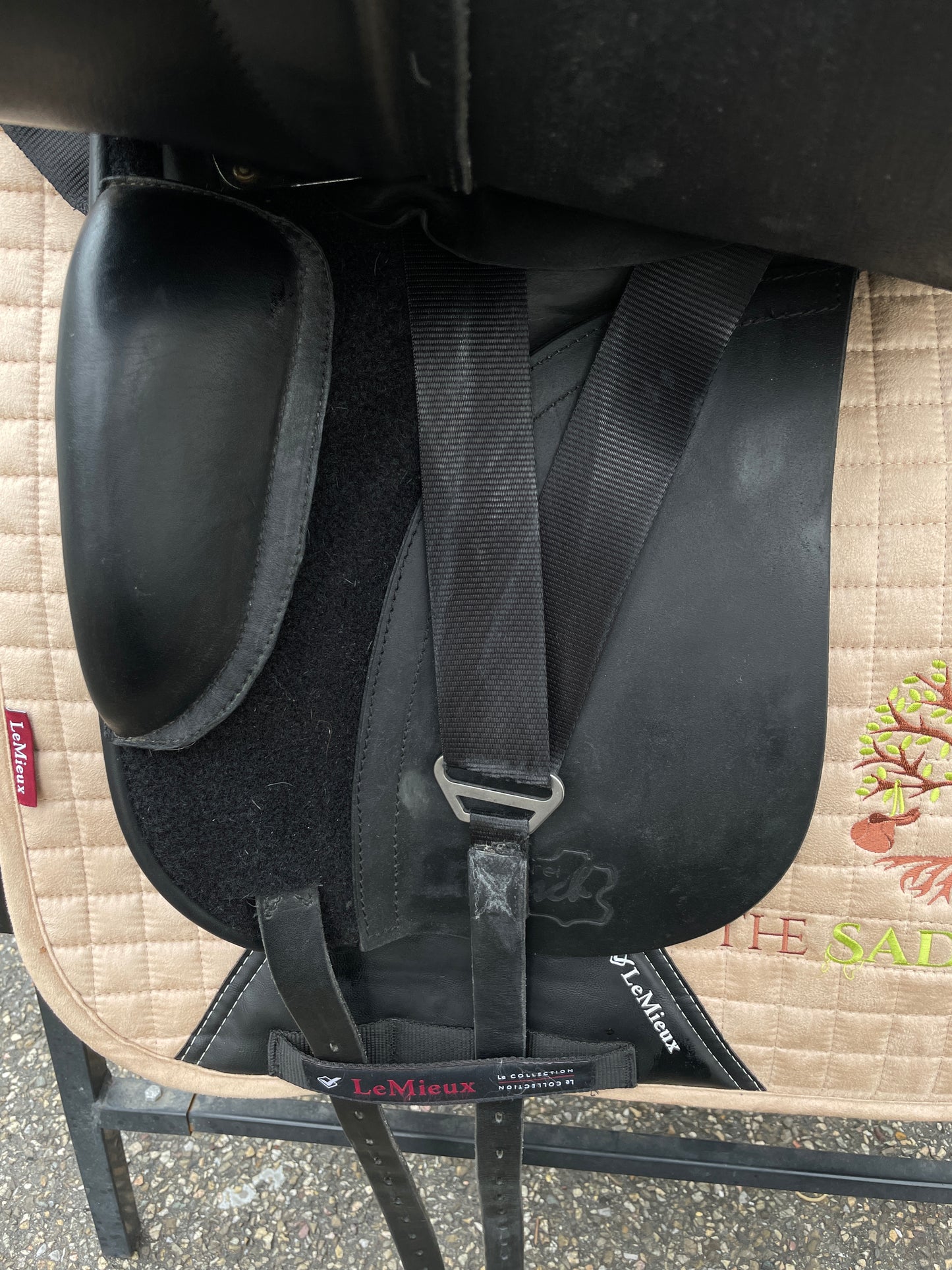 Silla de doma Dresch XT Flat con rollo de velcro de 17,5 pulgadas