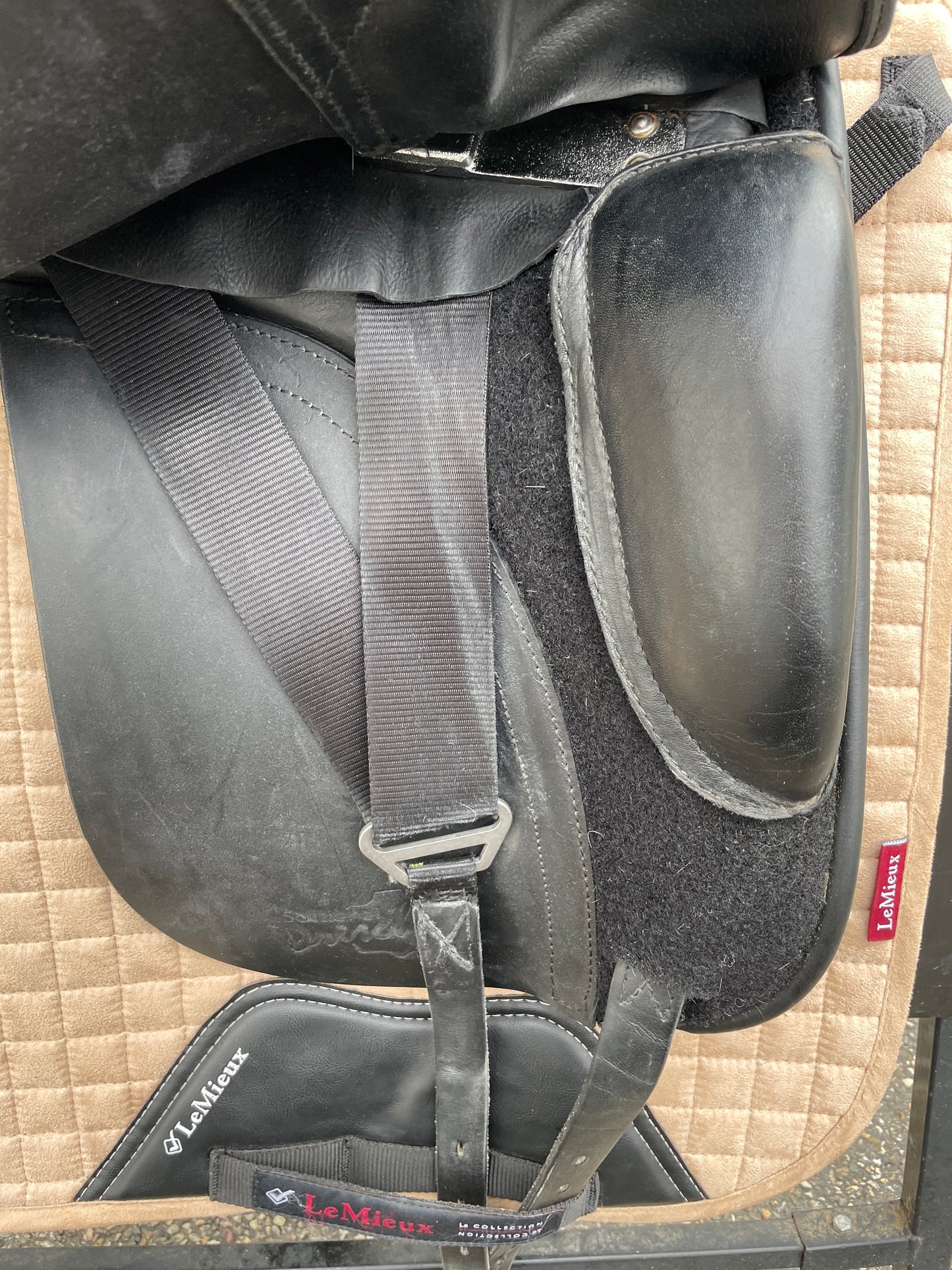 Silla de doma Dresch XT Flat con rollo de velcro de 17,5 pulgadas