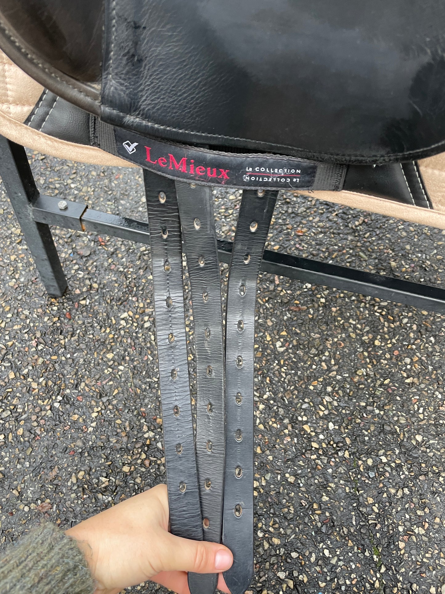 County Perfection Dressage Saddle 17.5 inch N SR