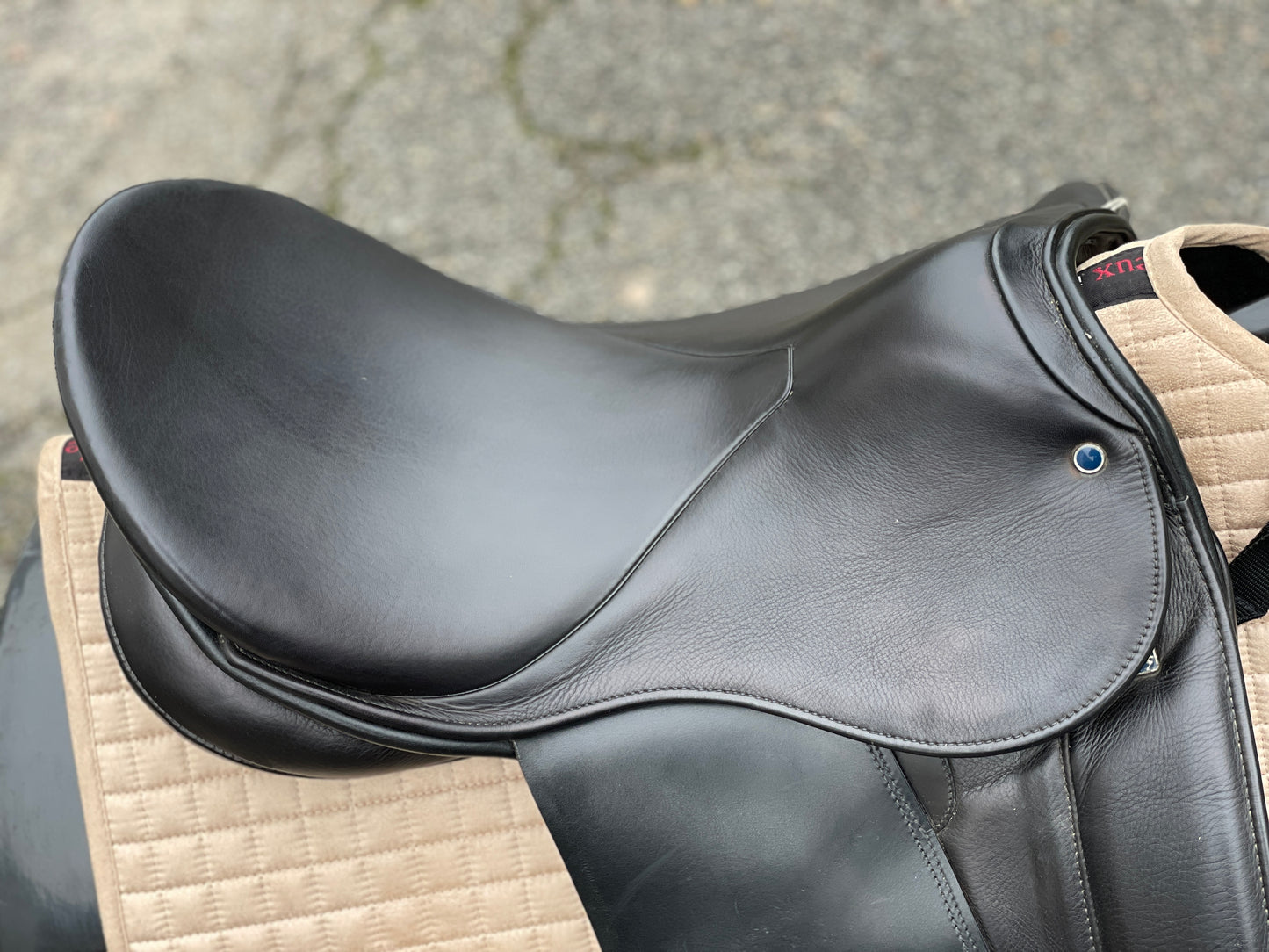 Stübben Maestoso Dressursattel 17,5 Zoll neuwertig