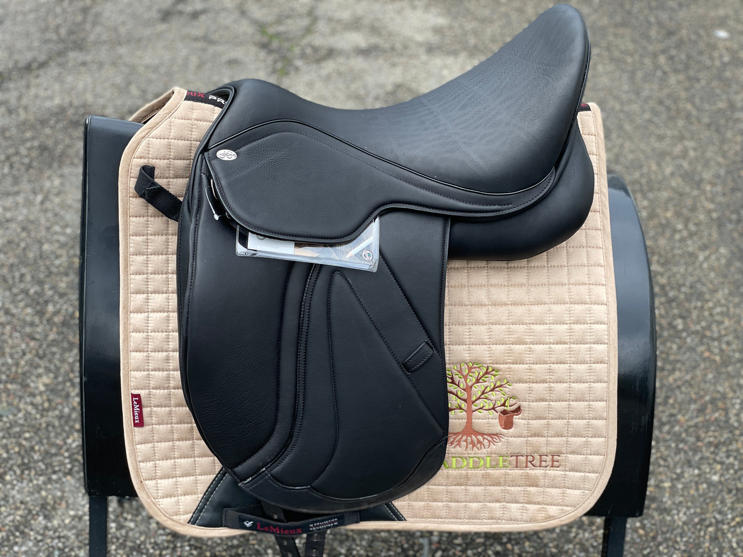 Jorge Canaves Belgrano Dressursattel Monoblatt NEU