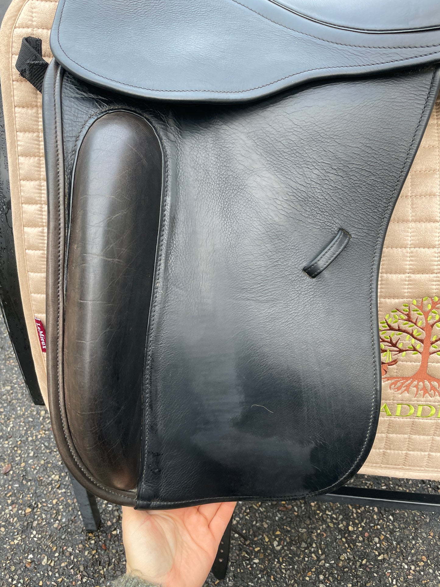 County Perfection Dressage Saddle 17.5 inch N SR