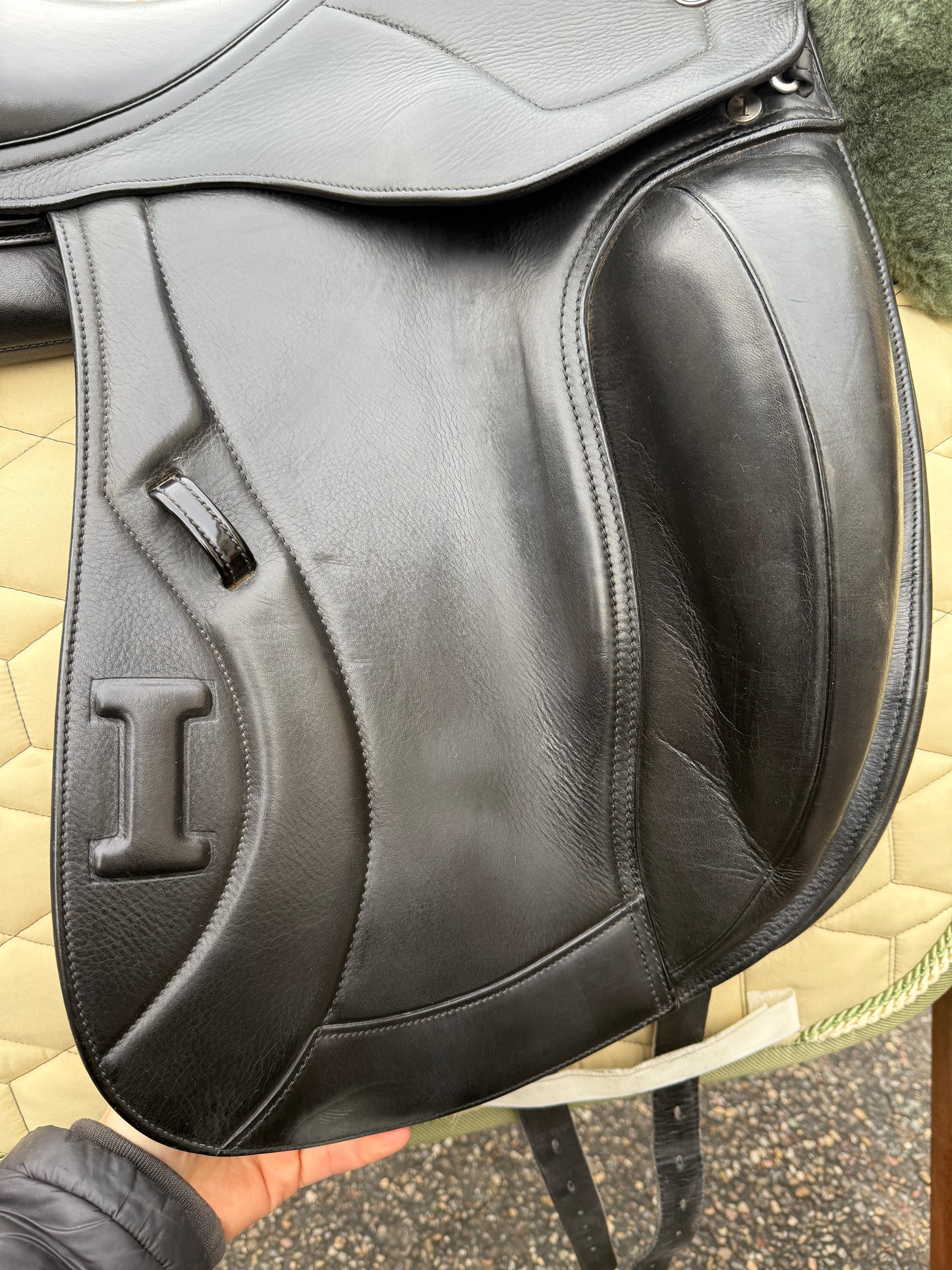 #260 Ikonic Pro Evolution Monoblatt DEV01 Dressursattel 16,5 Zoll