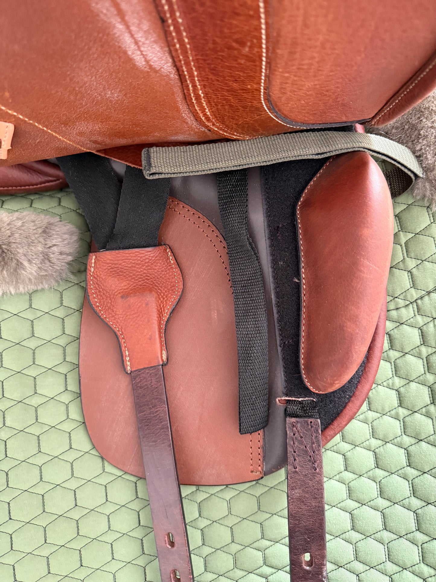 Jorge Canaves Junior Dressur Dressursattel Ponysattel NEU