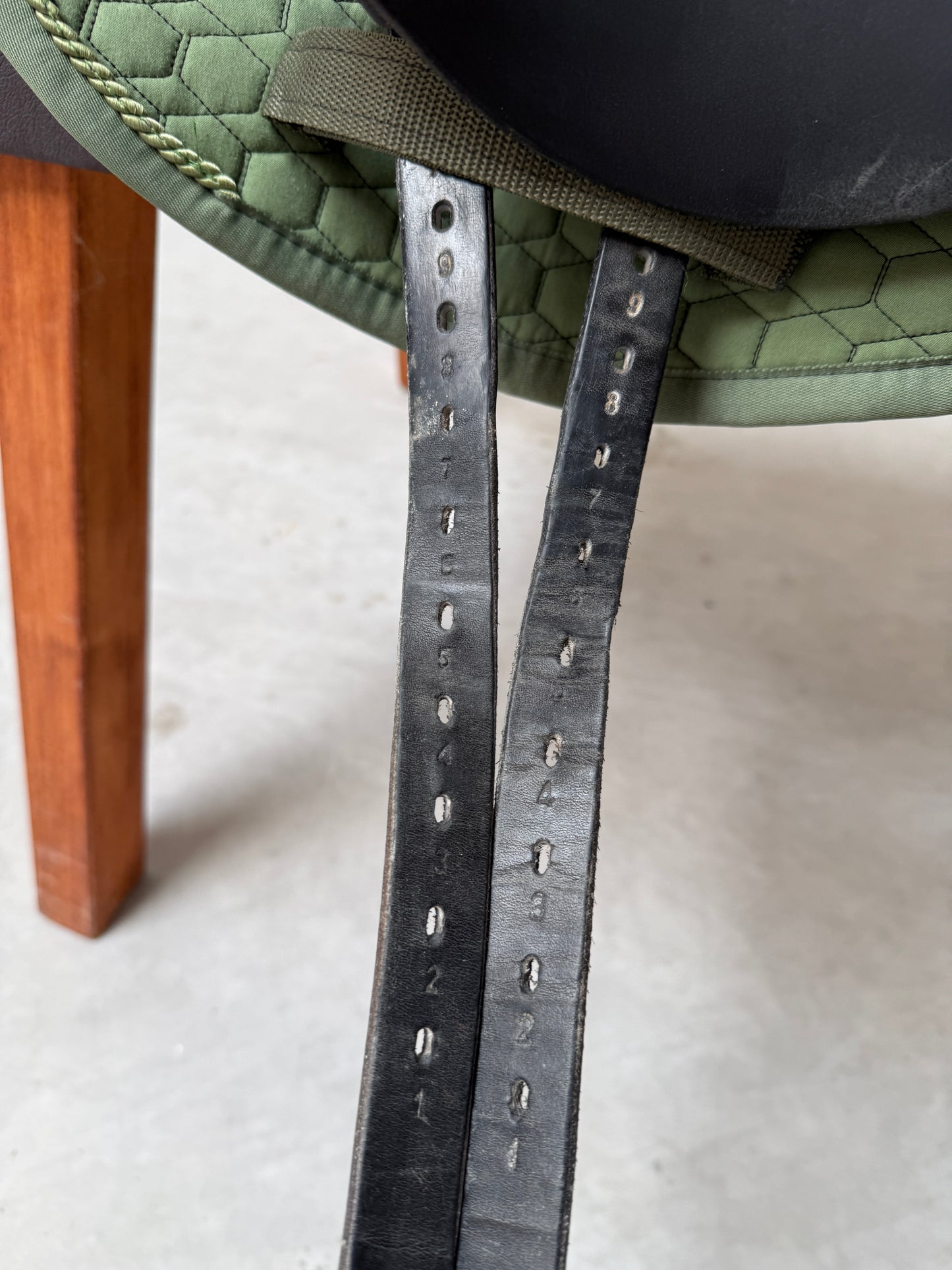 Seabis Saga Revolution Dressursattel 17 Zoll aus 2023