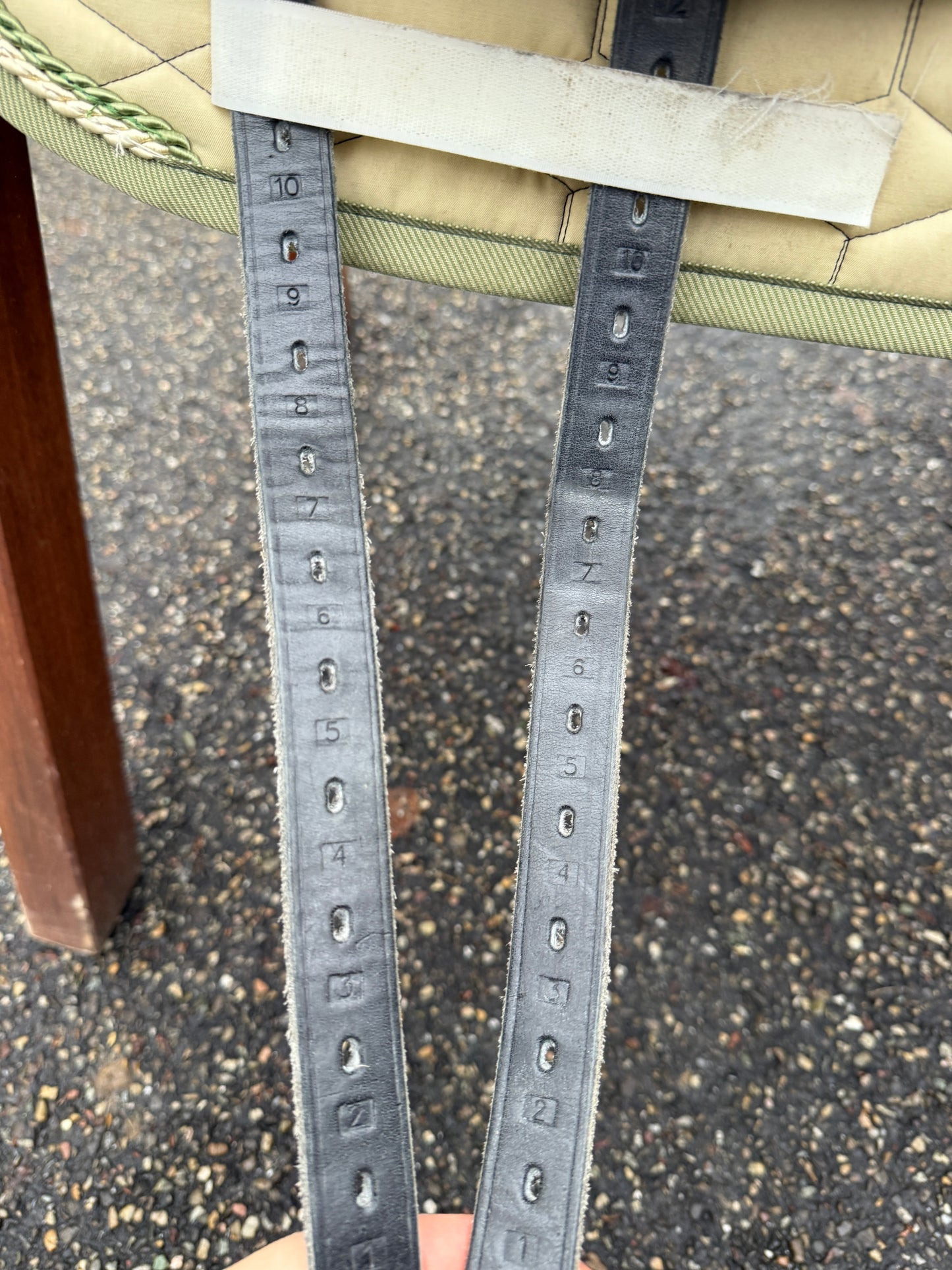 #244 Velicea Onyx Dressursattel 17,5 Zoll breite Kammer