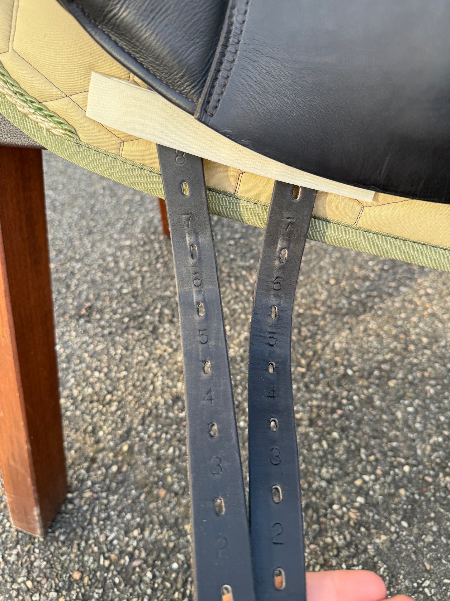 #156 Prestige Top Dressage SP 17 Zoll 32 aus 2023