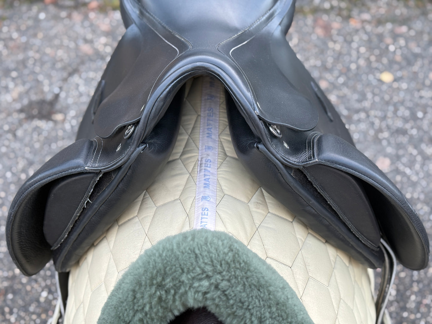 #201 Passier Corona Dressursattel 17,5 Zoll Lifterkissen aus 2022