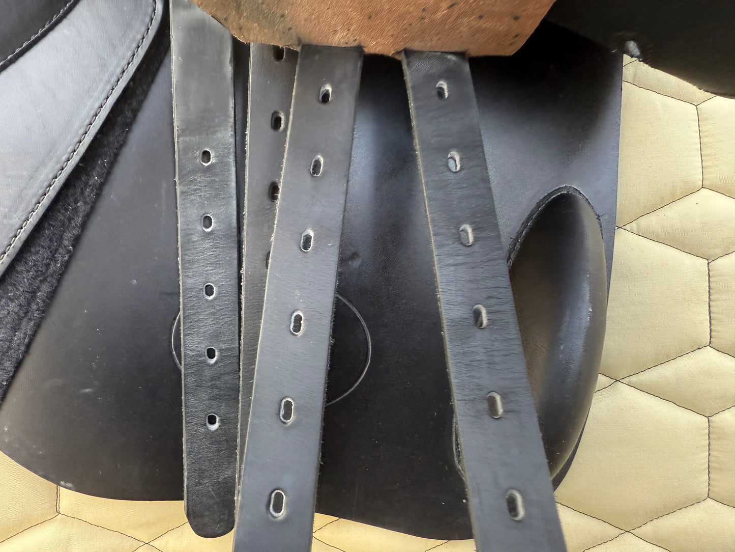 #K181 Prestige Elastic Professional New Springsattel 16 Zoll 33 doubliert aus 2022 NEU