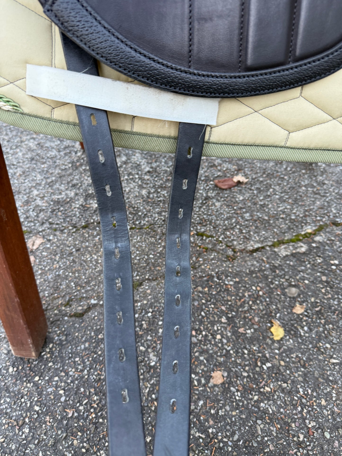 #231 Selleria Equipe Viktoria Carbon Dressursattel 17,5 Zoll +2 M aus 2023