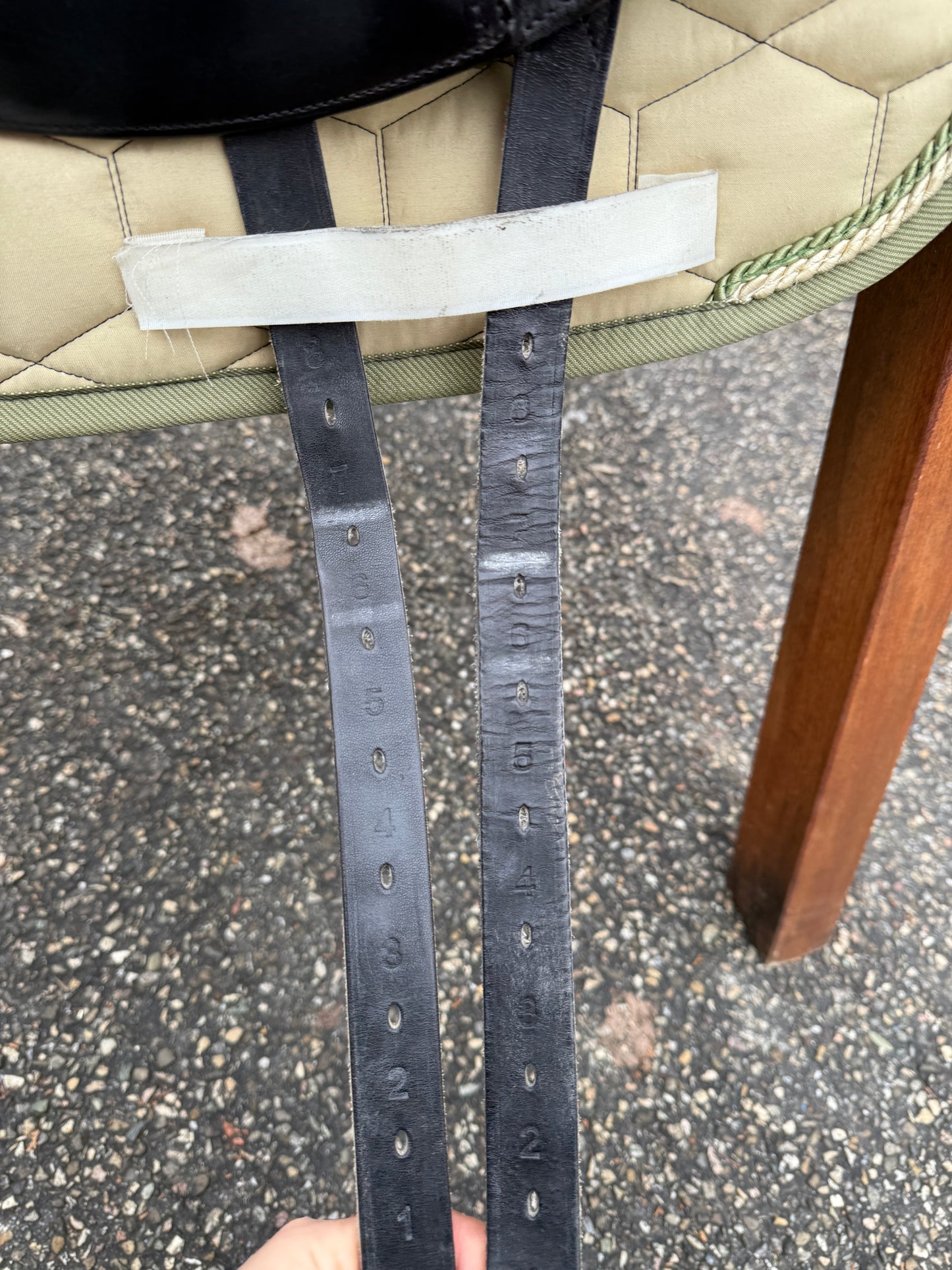 #260 Ikonic Pro Evolution Monoblatt DEV01 Dressursattel 16,5 Zoll