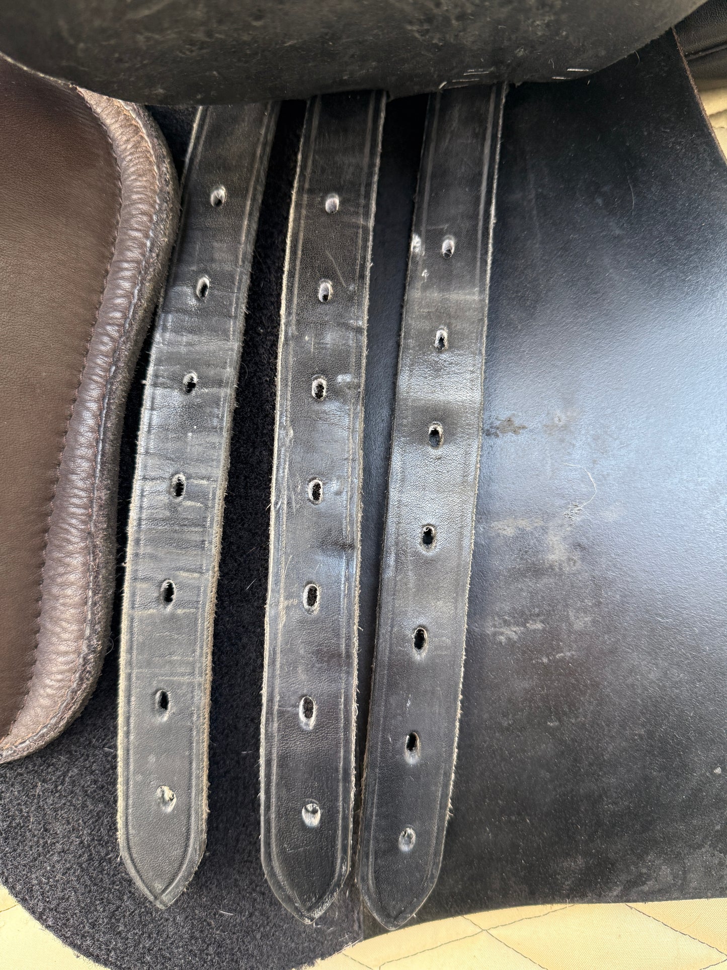 #255 Sommer Opus Vielseitigkeitssattel VSD 18 Zoll schwarz H7