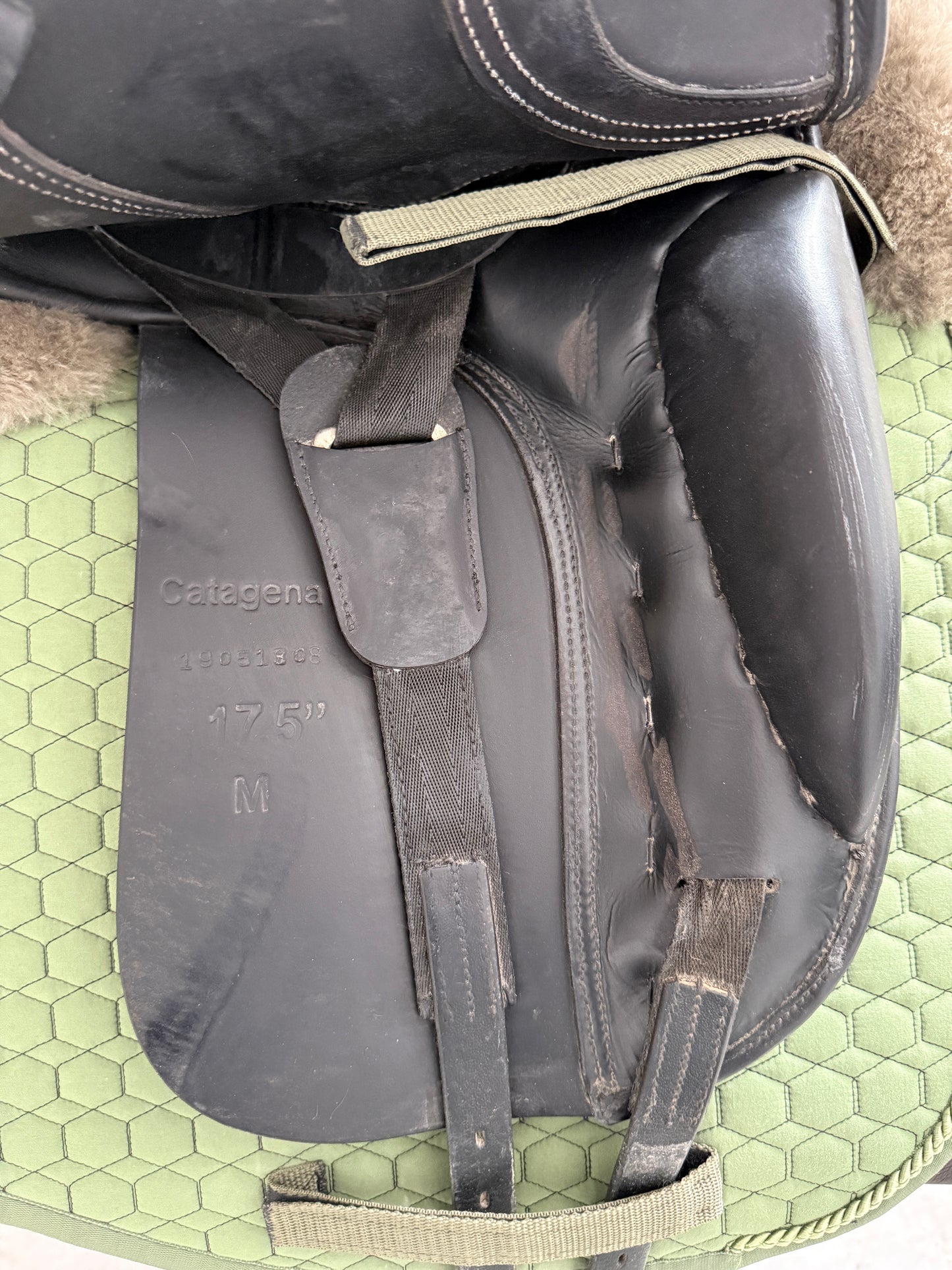 Seabis Catagena PRO Dressursattel 17,5 Zoll