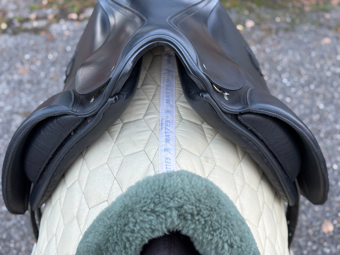 #K178 Passier GG Extra Dressursattel 17,5 Zoll aus 2024 hoher Keil