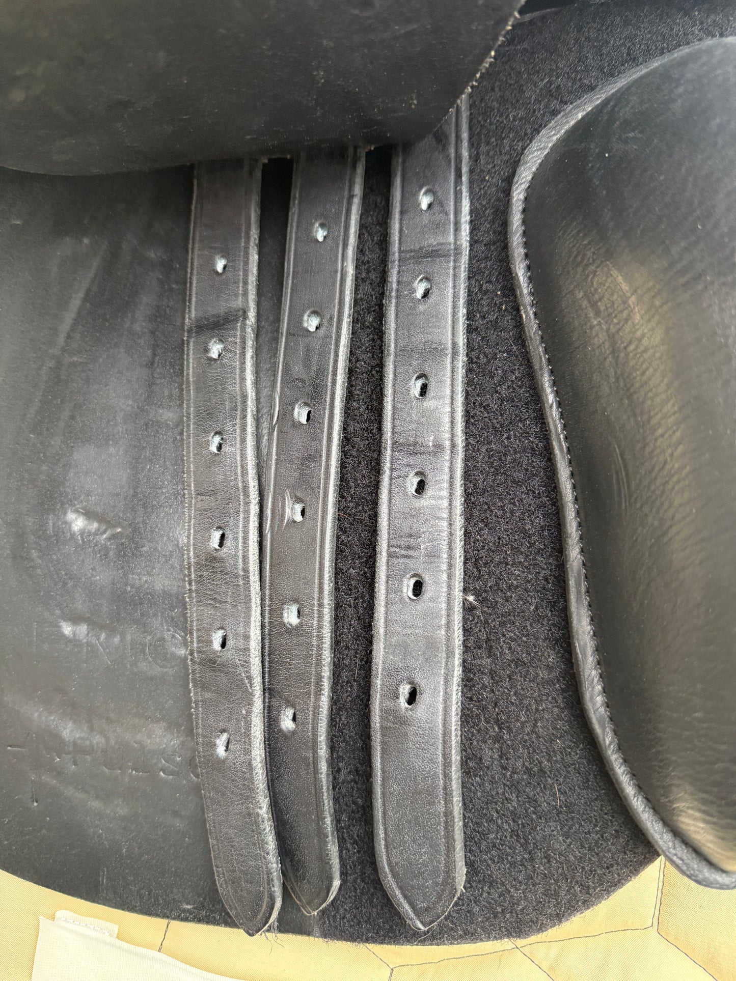 #232 Sommer Remos Pulse VS-Sattel 17,5 Zoll aus 2022