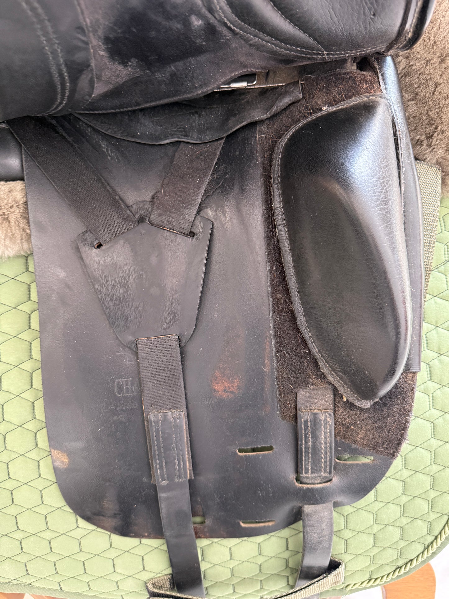Horse Star Champion Dressursattel 18 Zoll aus 2022 - langes Blatt
