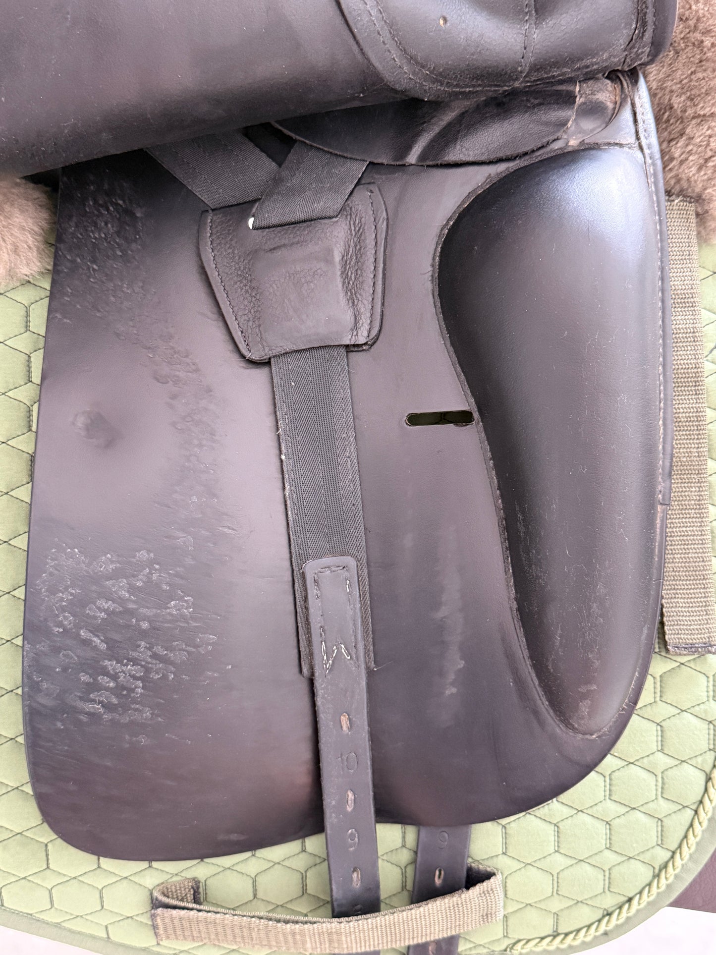 Prestige Top Dressage KK 17 Zoll 33 aus 2020