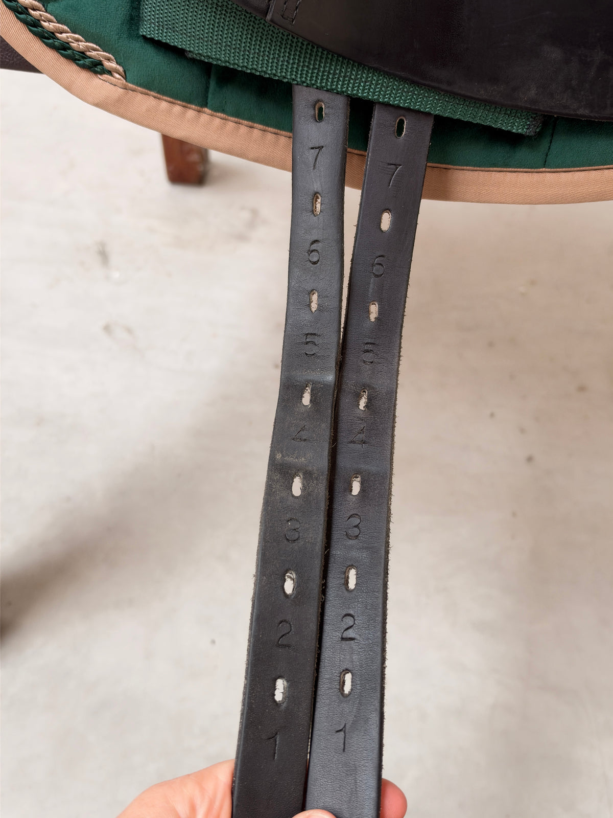 Prestige Top Dressage SP 17 Zoll 32 aus 2021