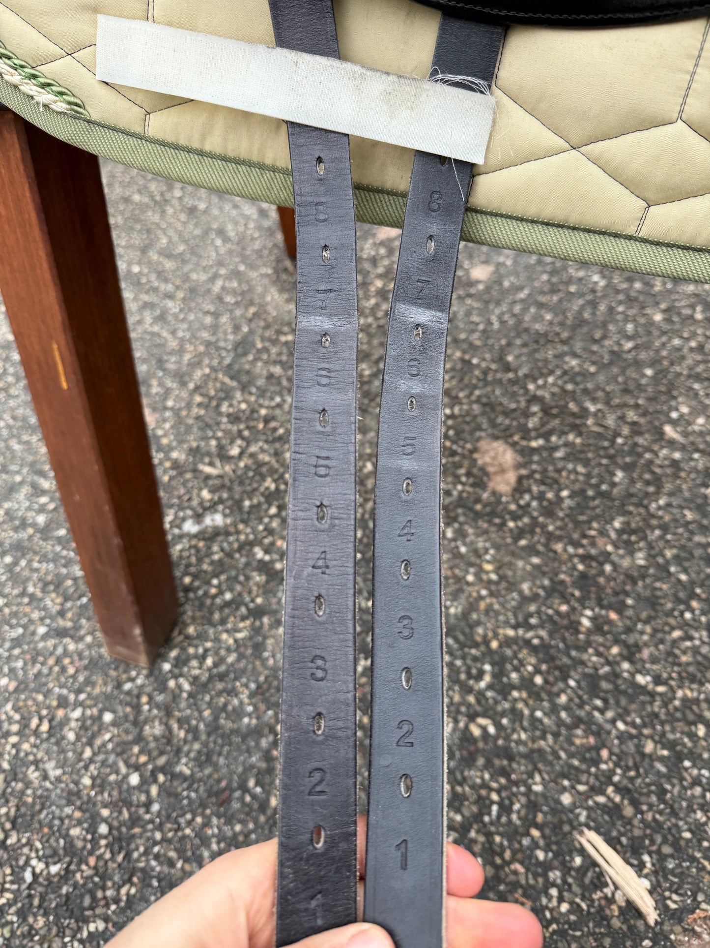 #260 Ikonic Pro Evolution Monoblatt DEV01 Dressursattel 16,5 Zoll