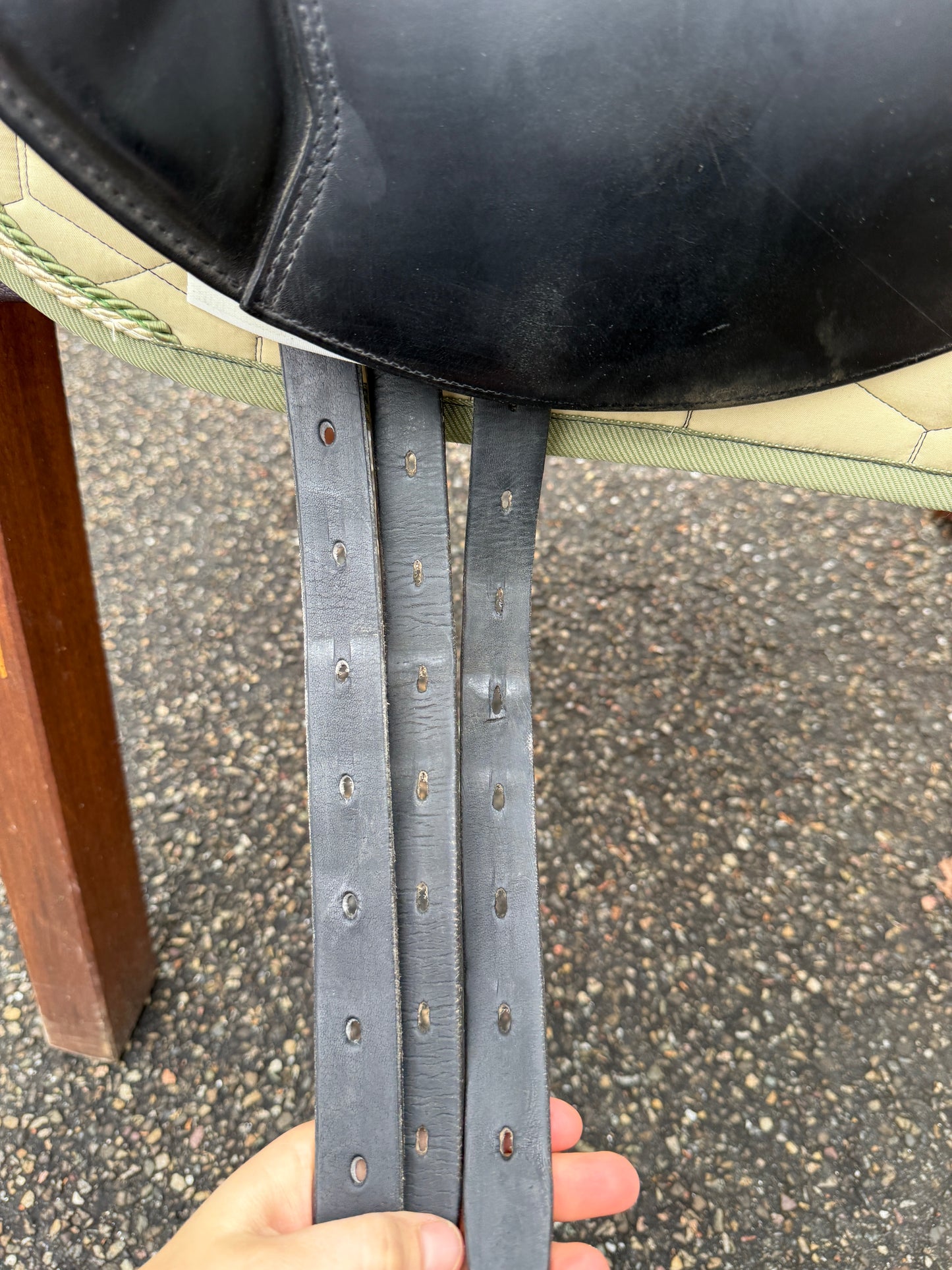 #237 Erreplus Adelinde Dressursattel 17 Zoll 34