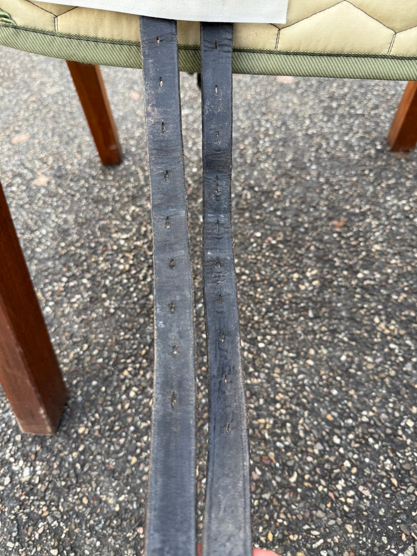 #249 Fichtbauer Paura KCR Dressursattel Monoblatt 17 Zoll Kammerweite C