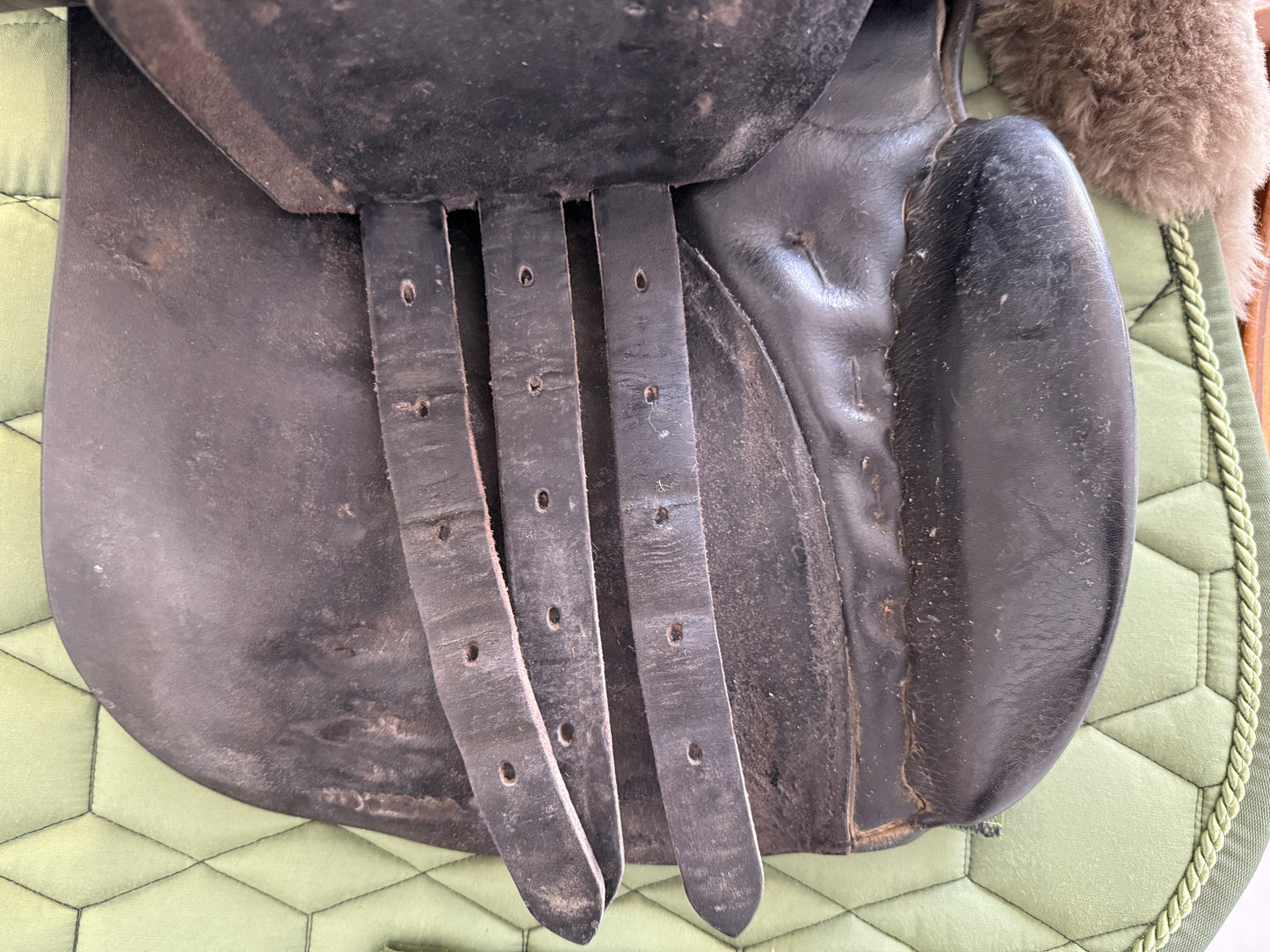 Sommer Dressage 17,5 Zoll 30