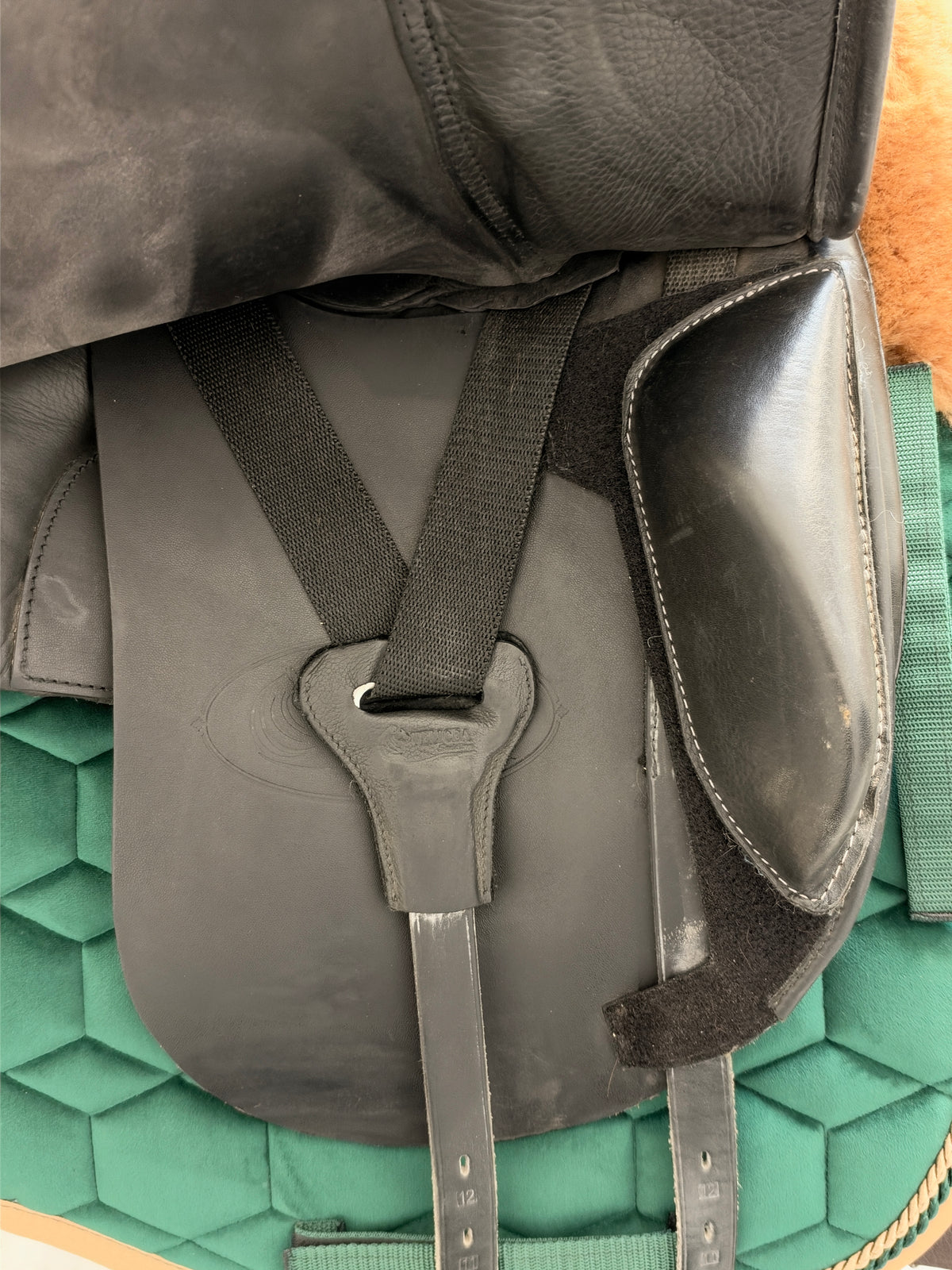 Velicea Onyx Dressursattel 17,5 Zoll mit Doma Vaquero Kissen