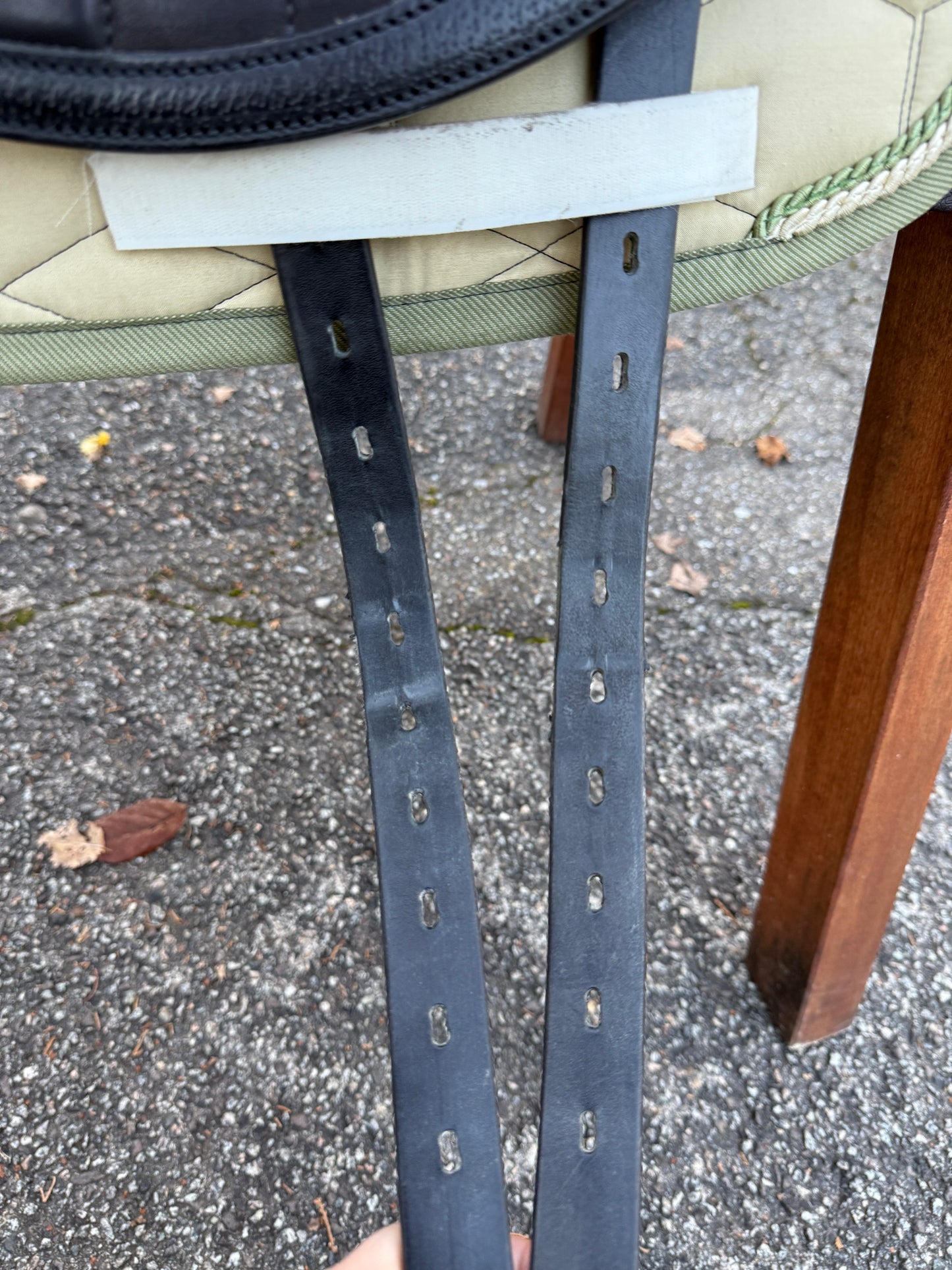 #231 Selleria Equipe Viktoria Carbon Dressursattel 17,5 Zoll +2 M aus 2023