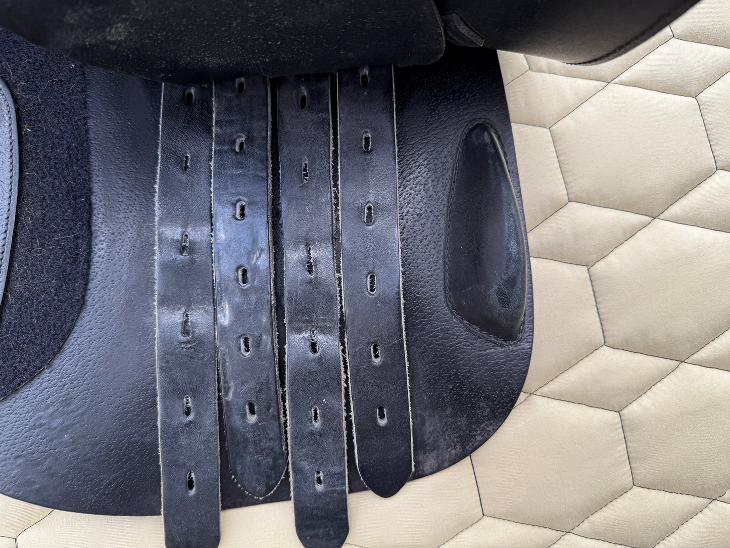 Amerigo Farouche Pinerolo Springsattel 17 Zoll kurzes Blatt auch für Ponys