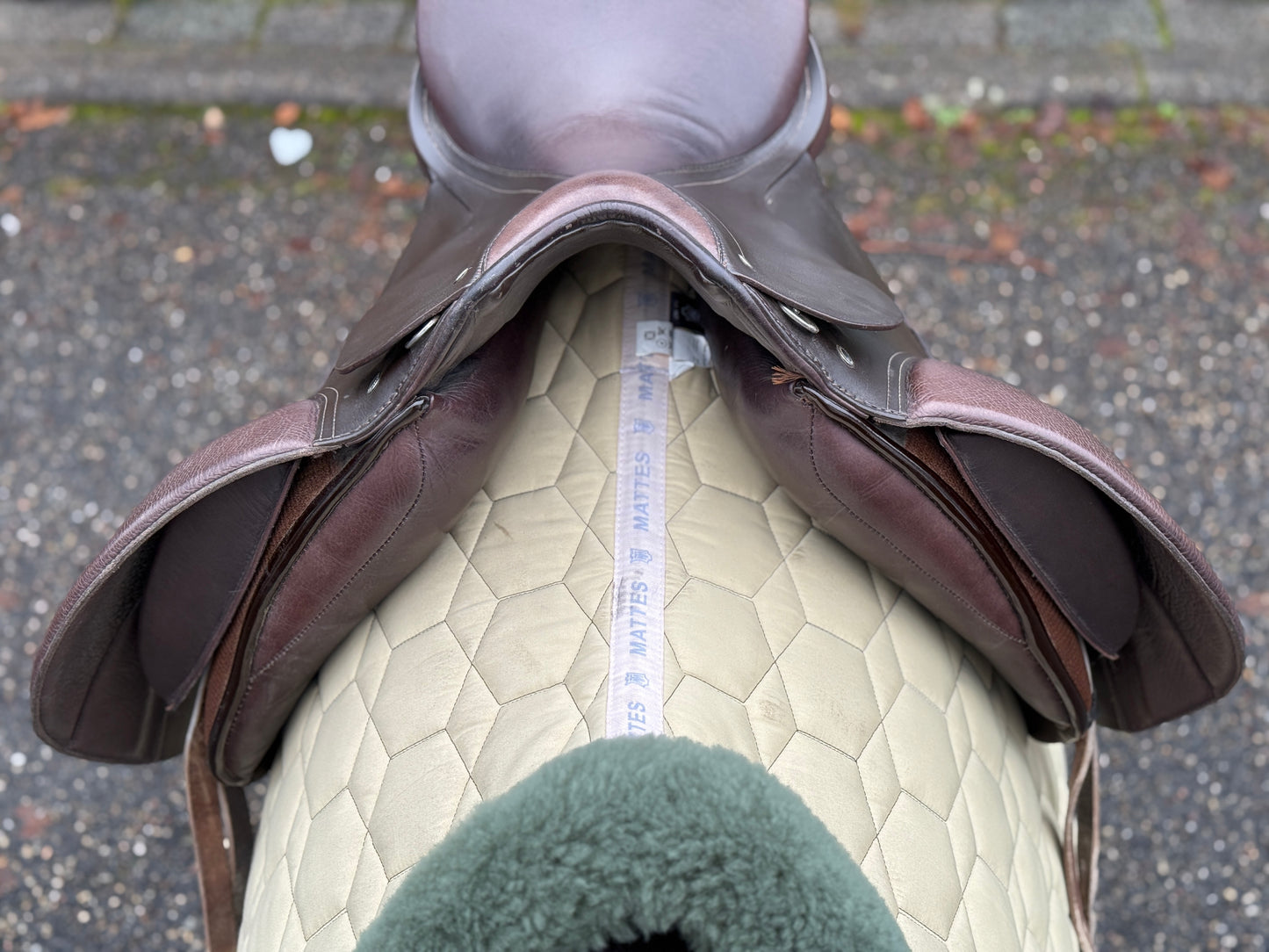 #242 Passier Sirius Dressursattel Schulterfreiheit 17 Zoll braun