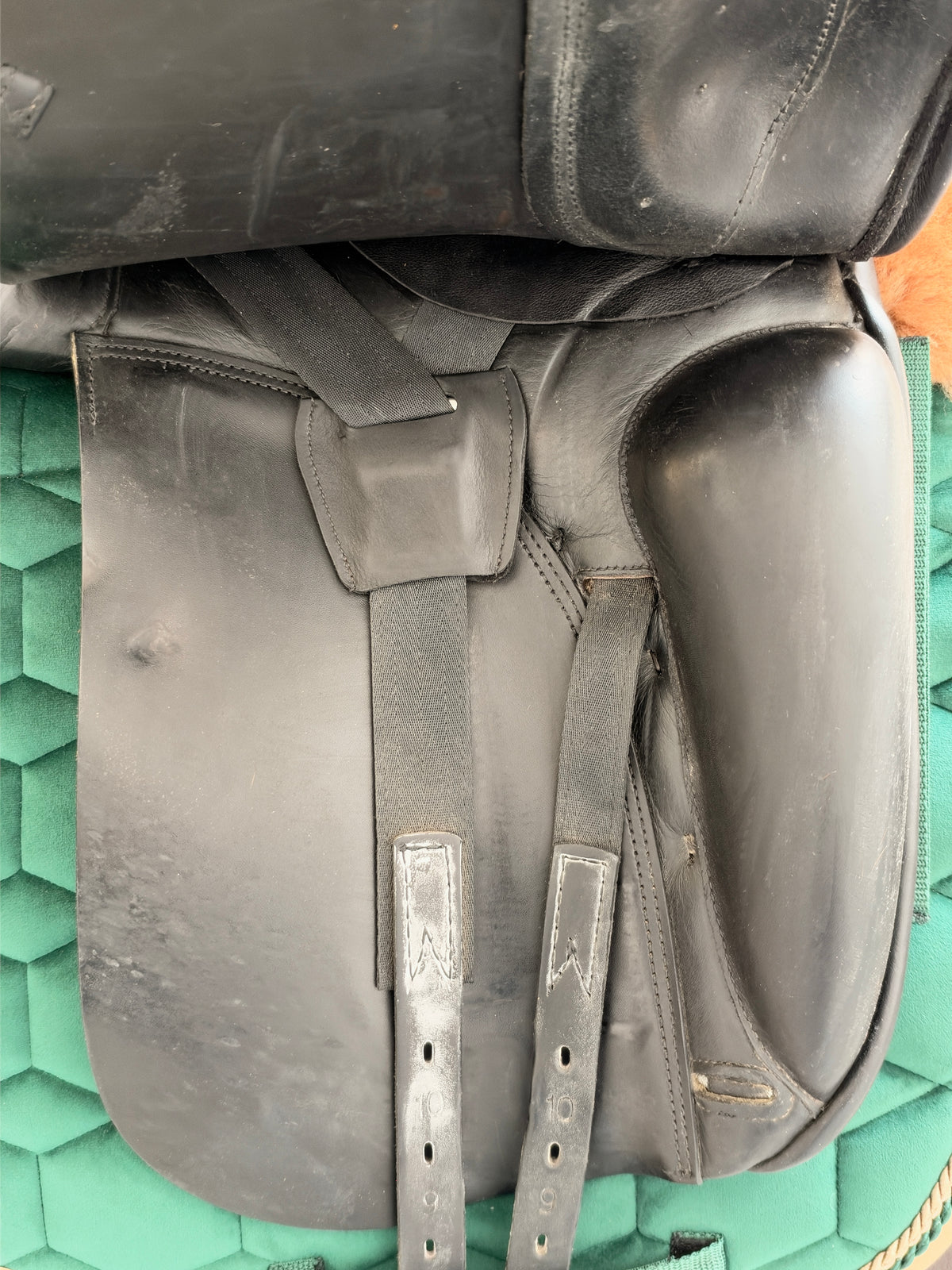 Prestige Top Dressage SP 17 Zoll 32 aus 2021