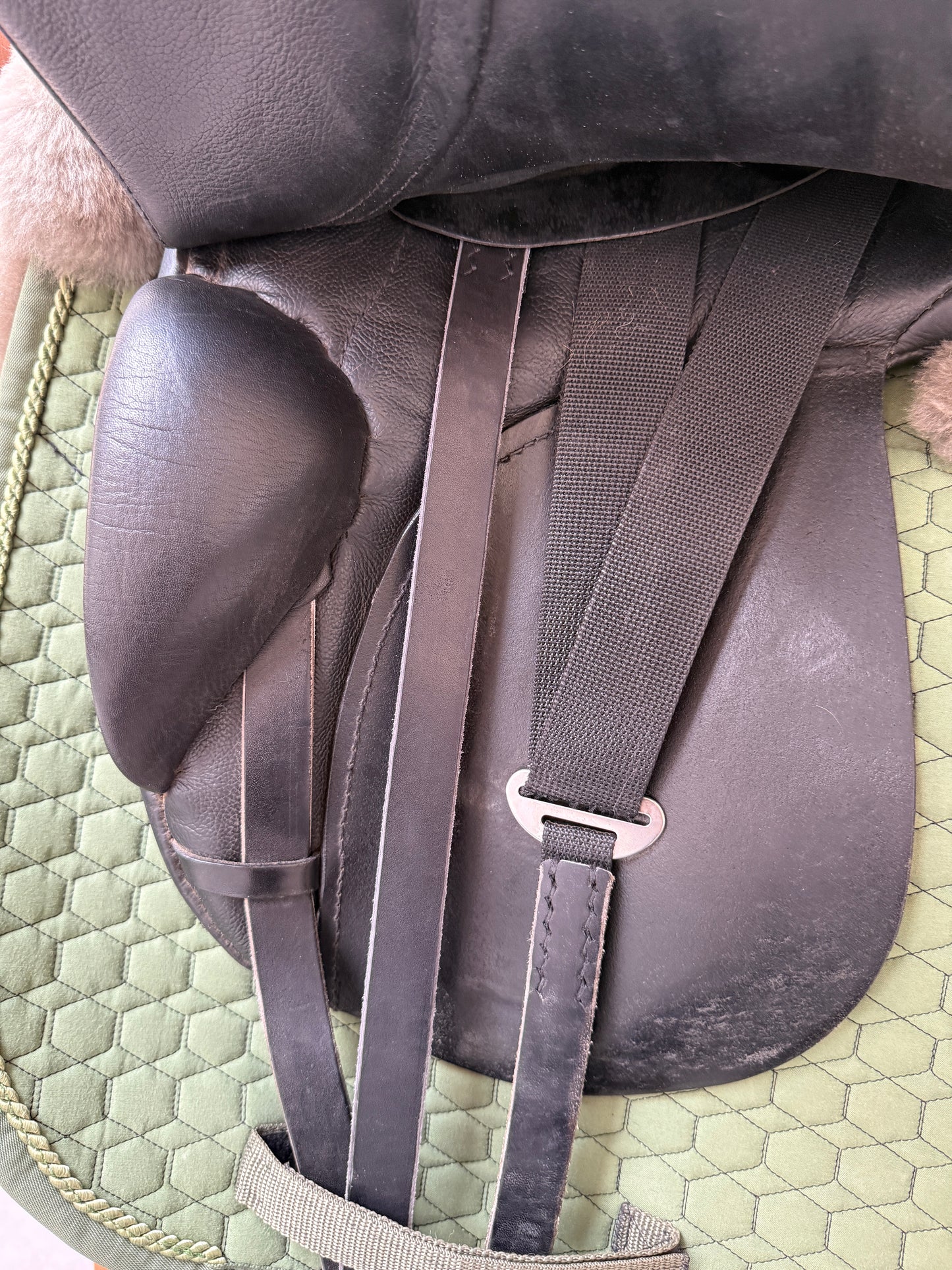 Passier ABS Dressursattel 16,5 Zoll Ponysattel