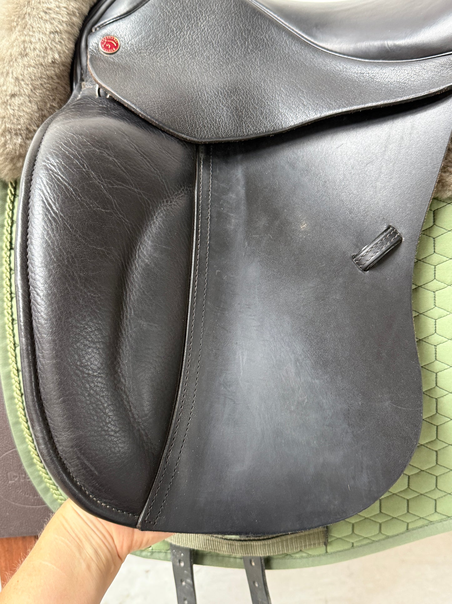 Dresch Tristan Dressursattel Klettpausche 17 Zoll aus 2023