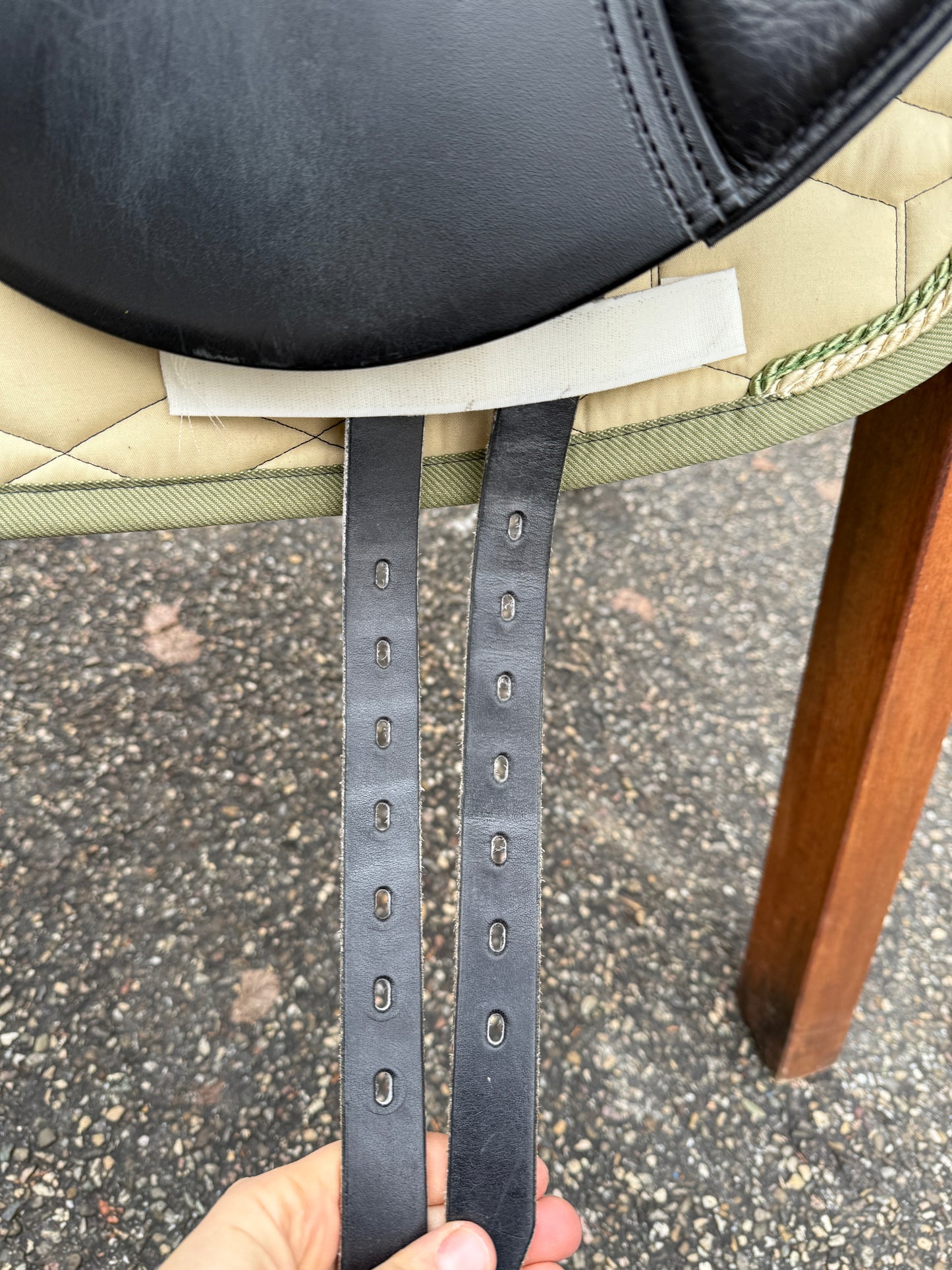 #258 Passier Blu Style Dressursattel 17 Zoll neuwertig Lifterkissen