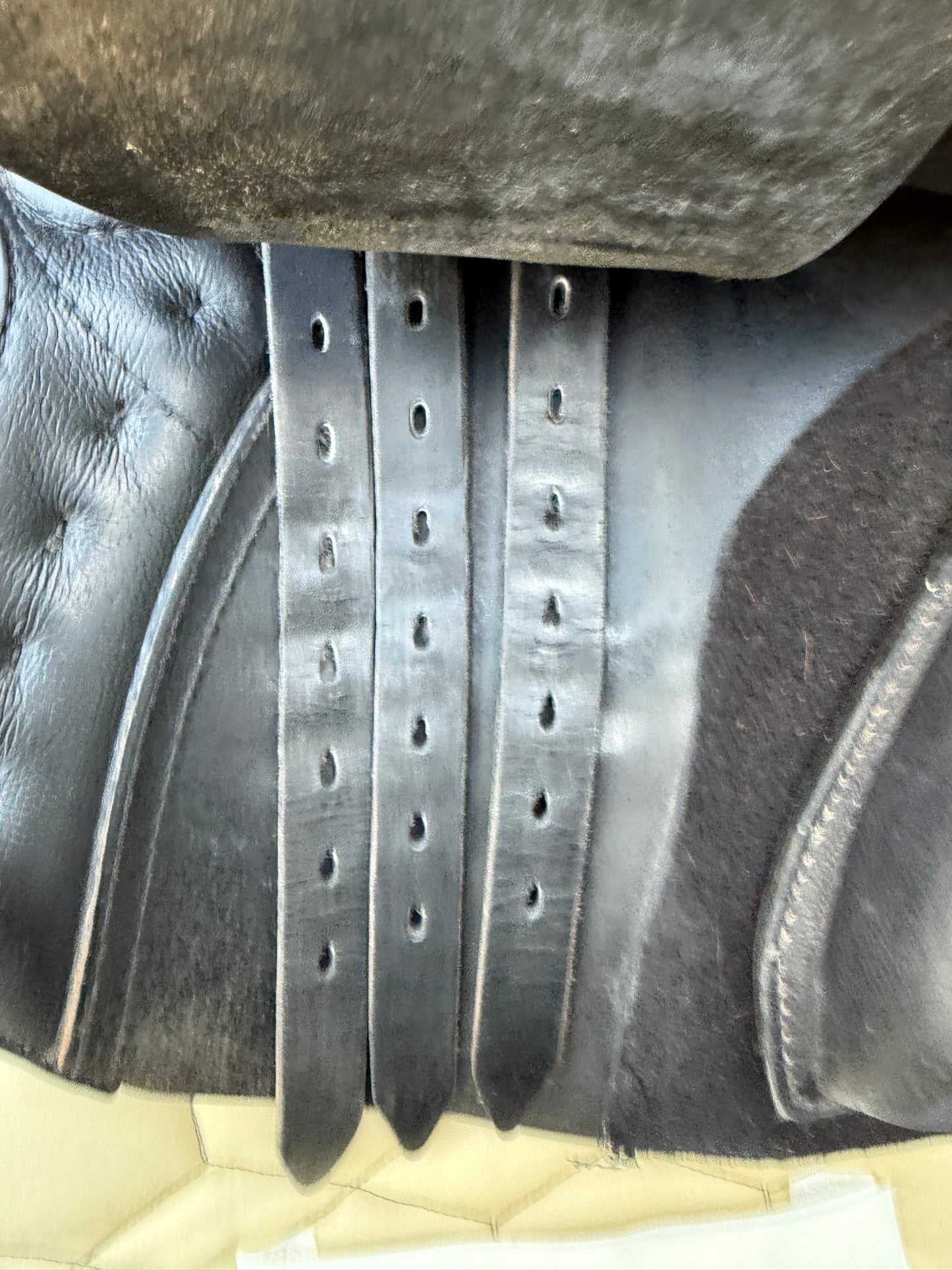 #208 Passier Avior Springsattel 17,5 Zoll breite Kammer